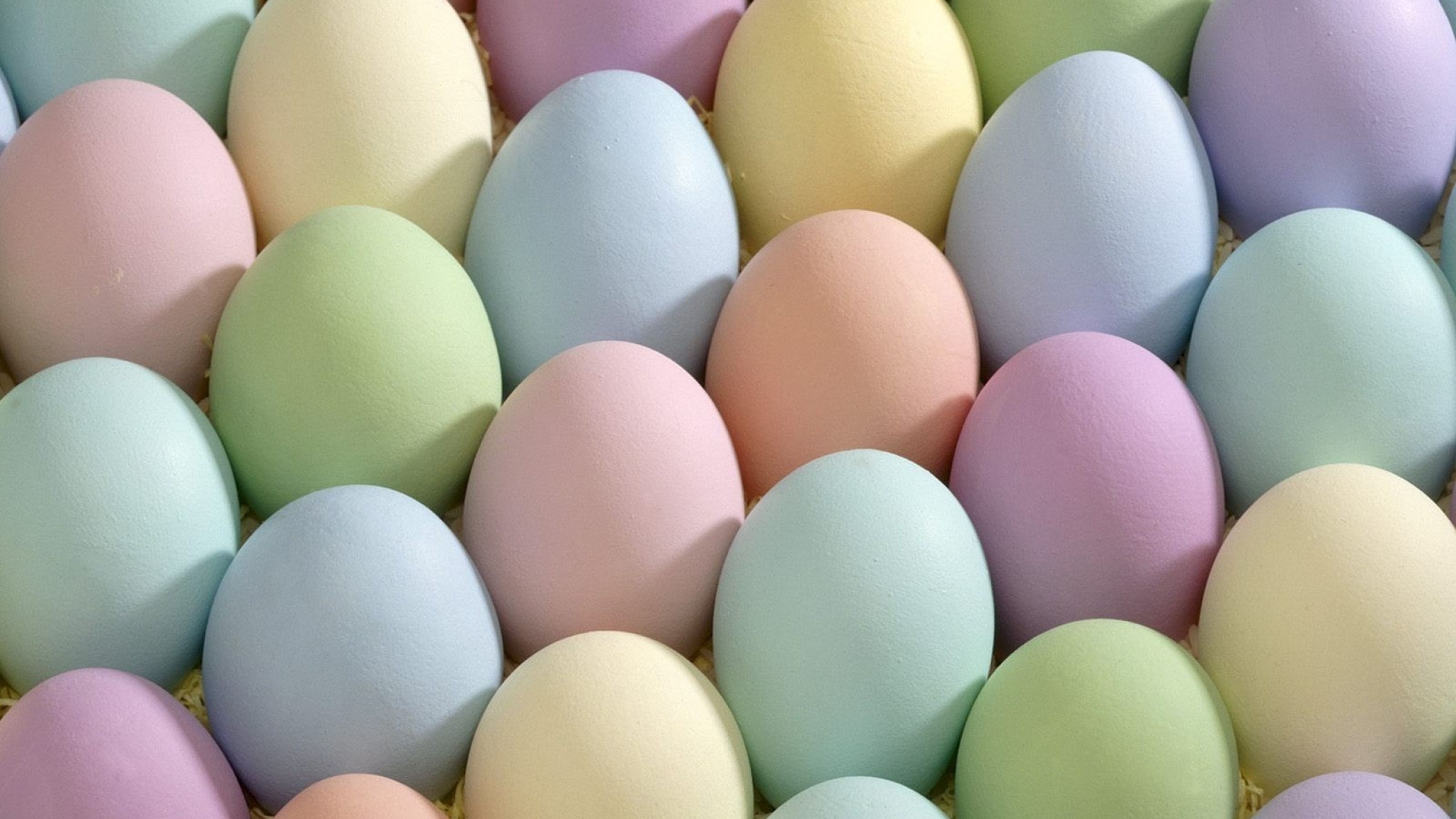 A close up of many colored easter eggs - Easter, egg
