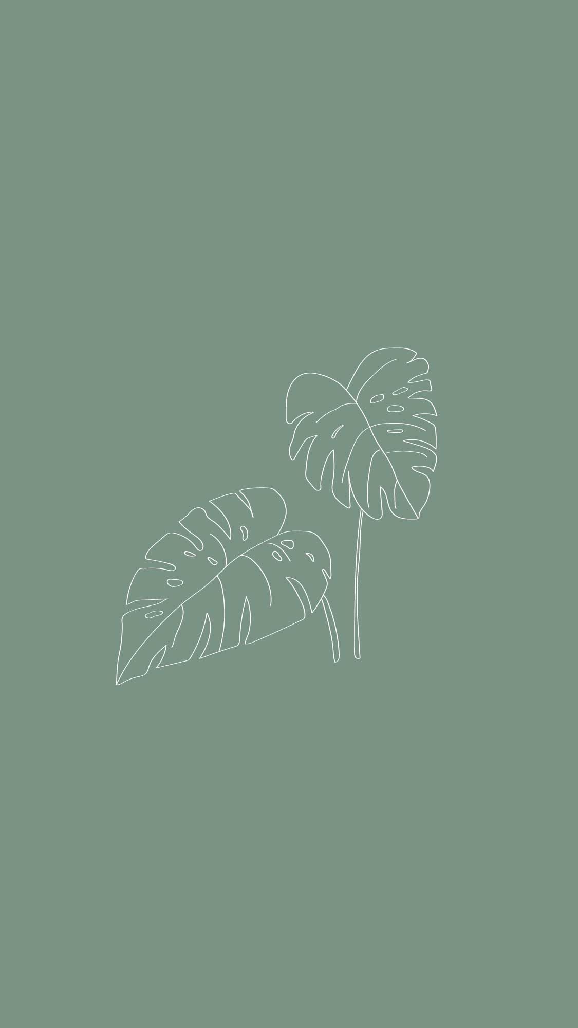 A drawing of two leaves on green background - Sage green, green, pastel green, Monstera, mint green