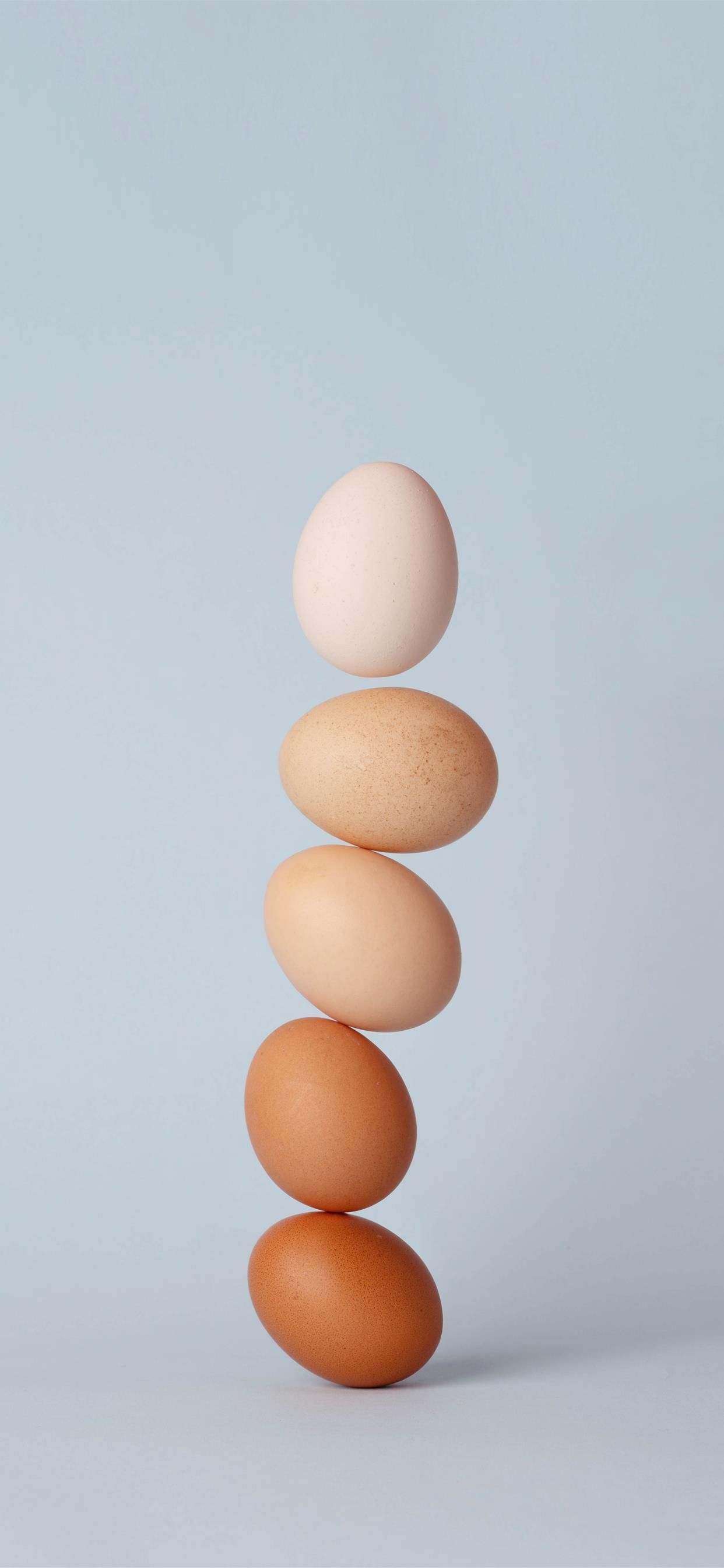 egg iPhone X Wallpaper Free Download