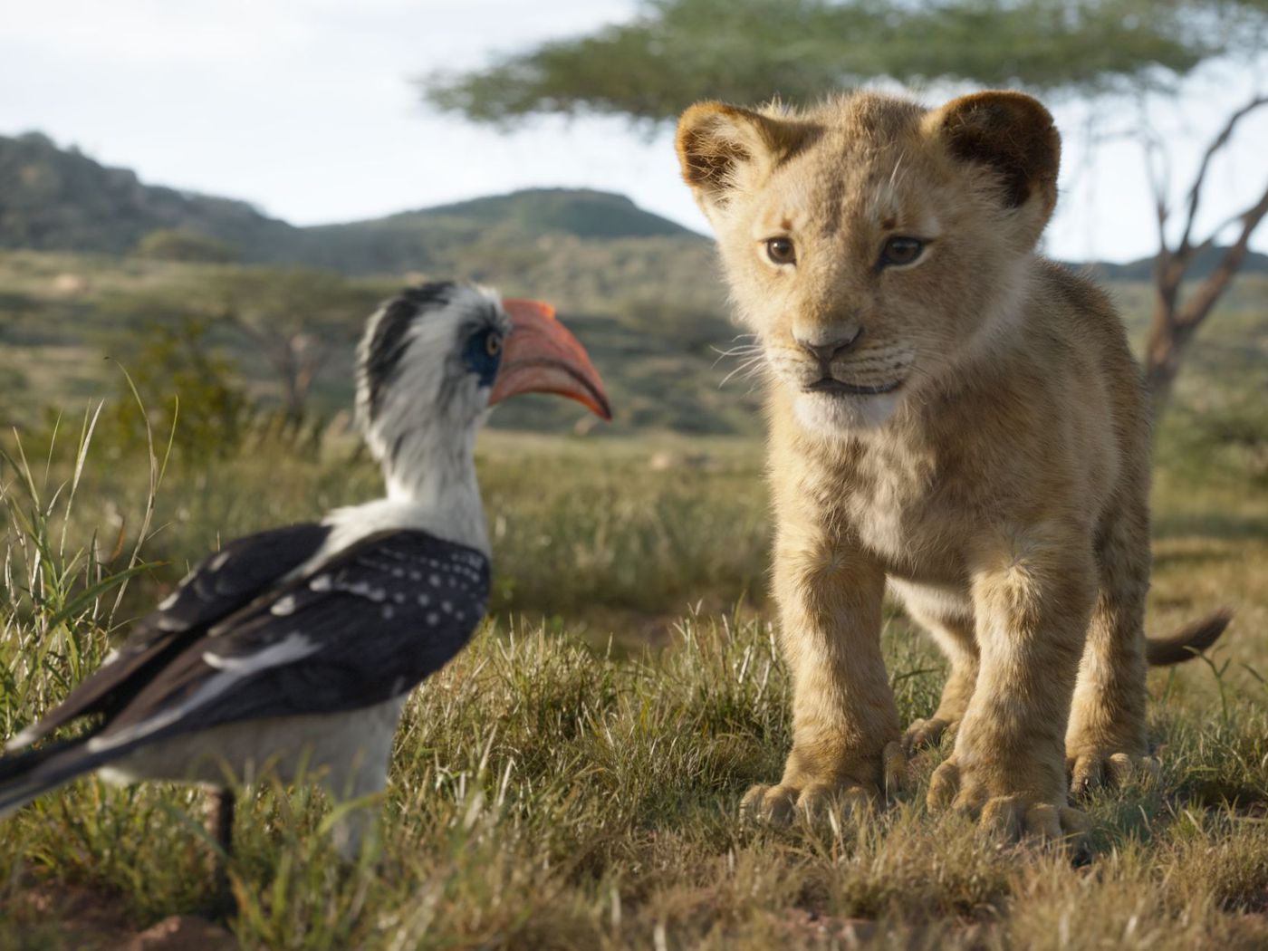 A lion and bird standing in the grass - The Lion King