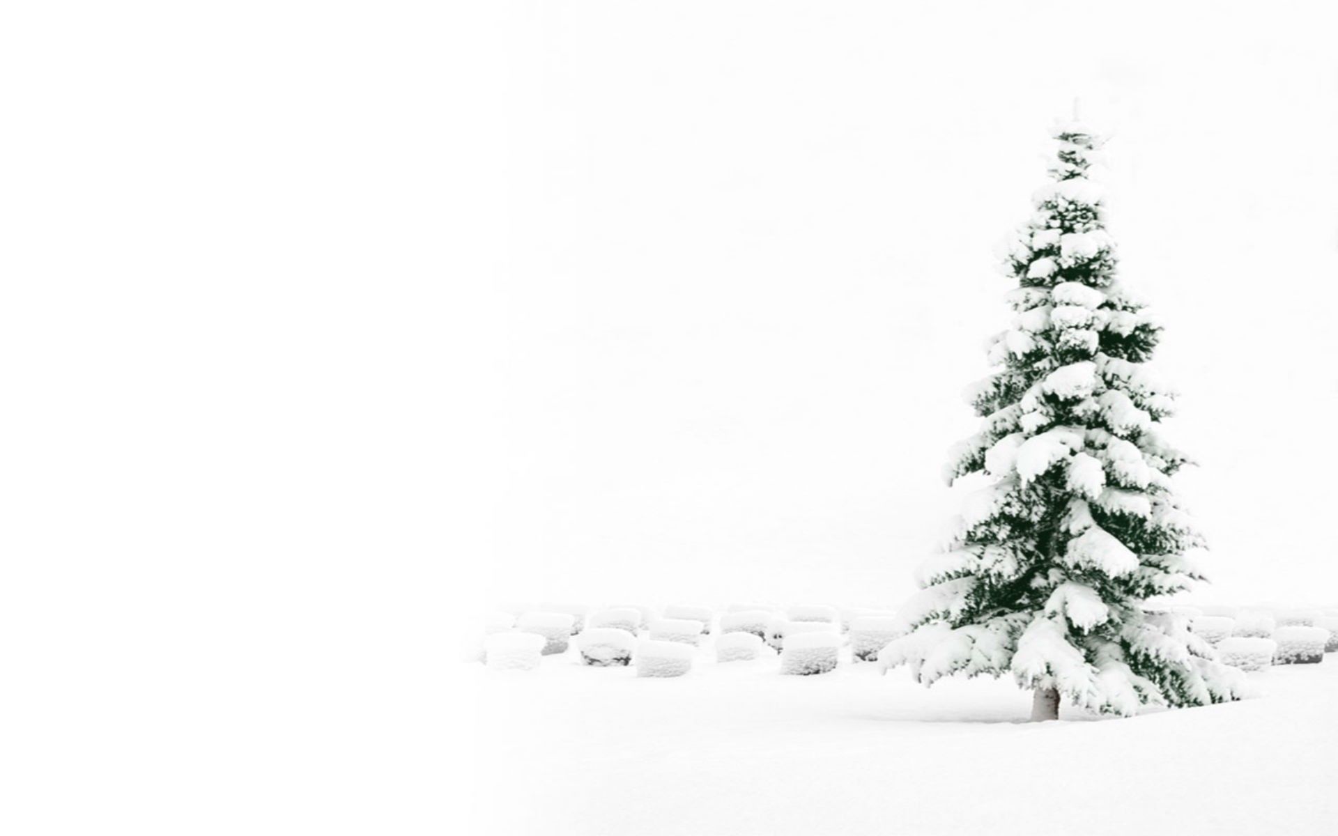 White Christmas Tree Wallpaper Free White Christmas Tree Background