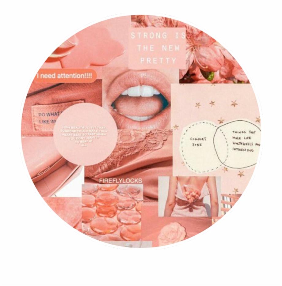 A collage of pink and white images with the words makeup - Pink collage