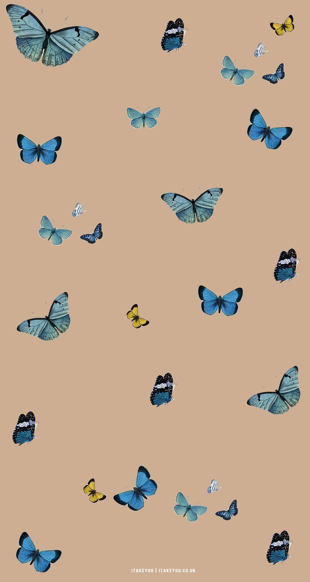 A pattern of many different butterflies on beige - Smile, December, wedding, cute, butterfly, pretty, iPhone, light brown, cool, ghost