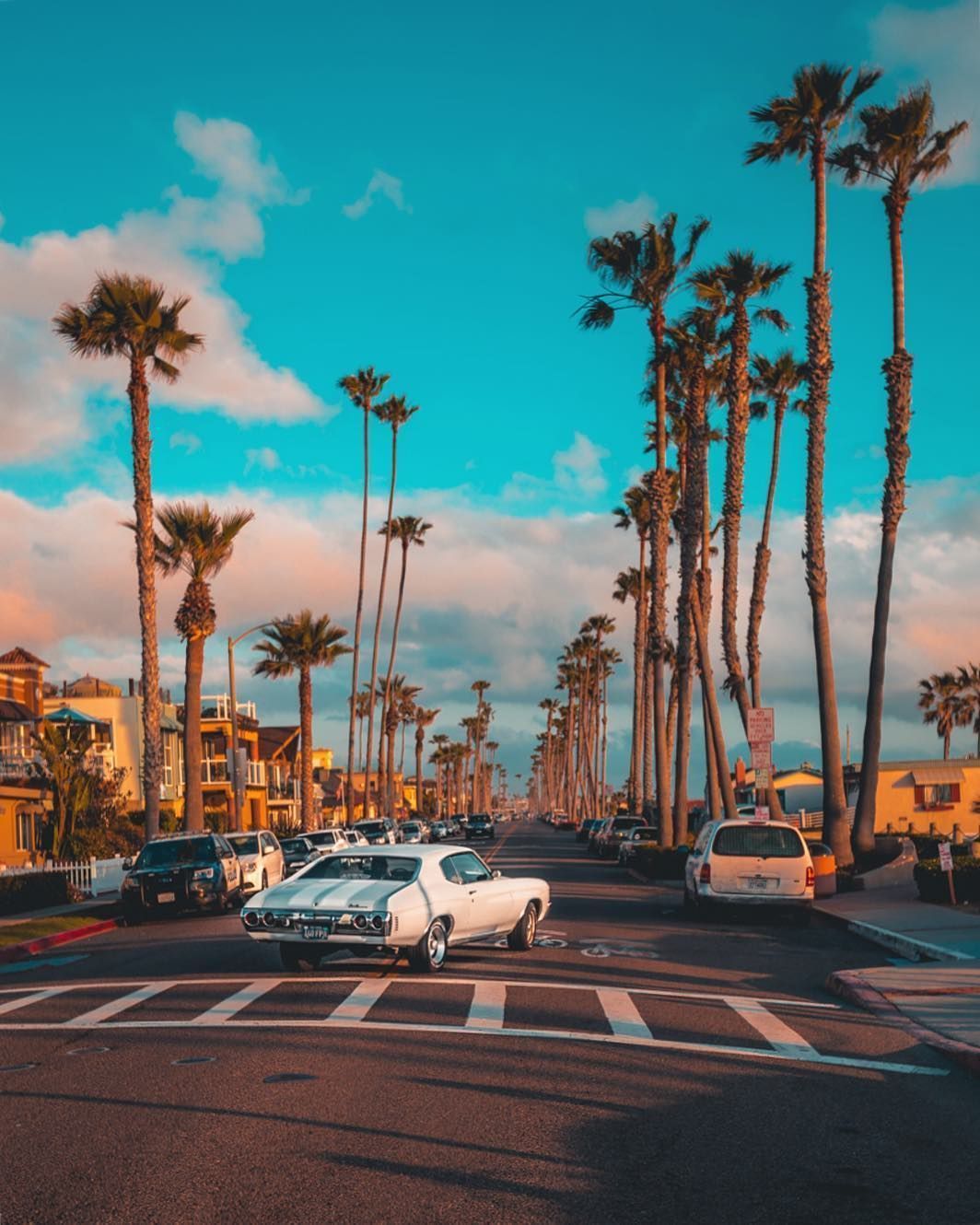 Cars parked on the side of a road with palm trees - California