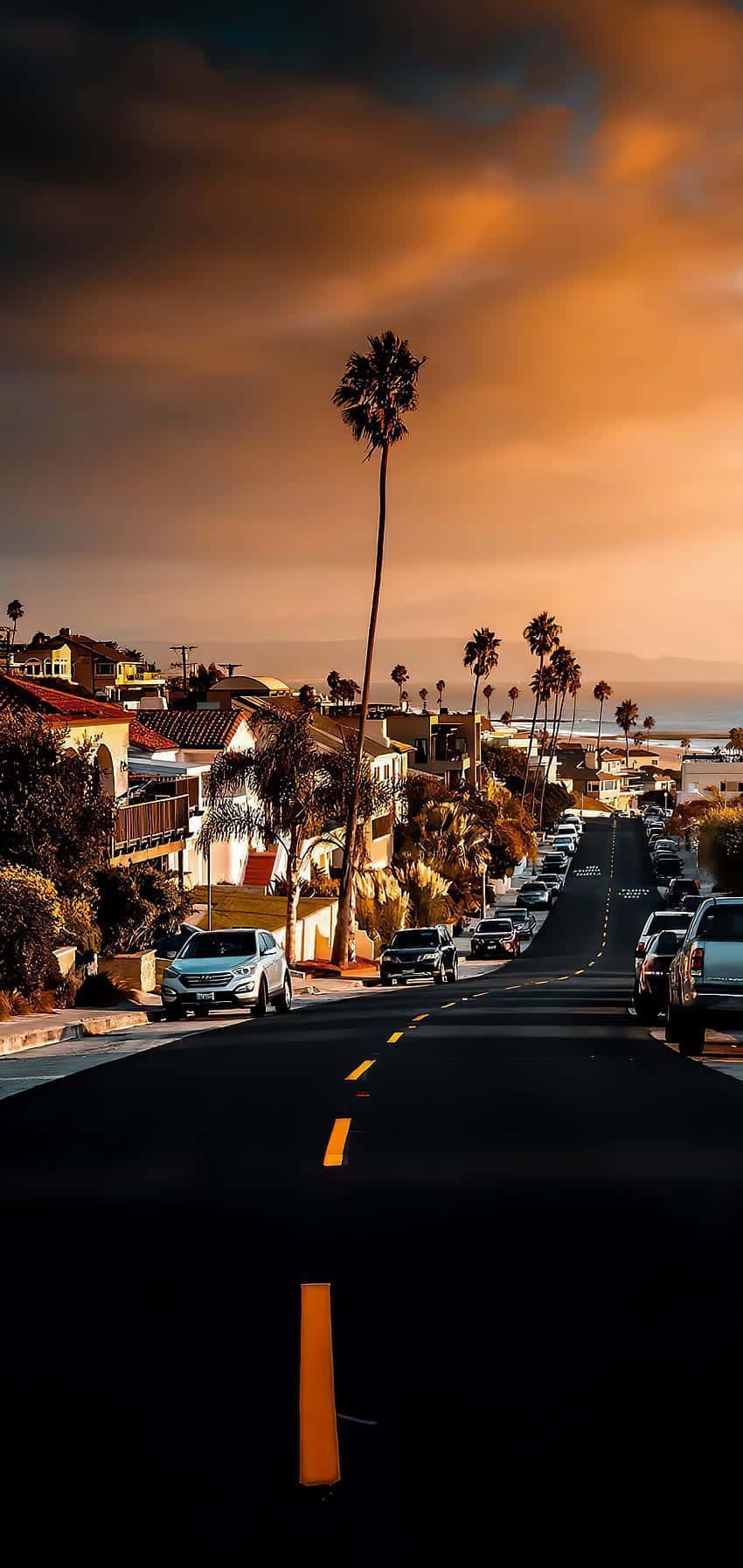 A city street with palm trees and a sunset in the background - California