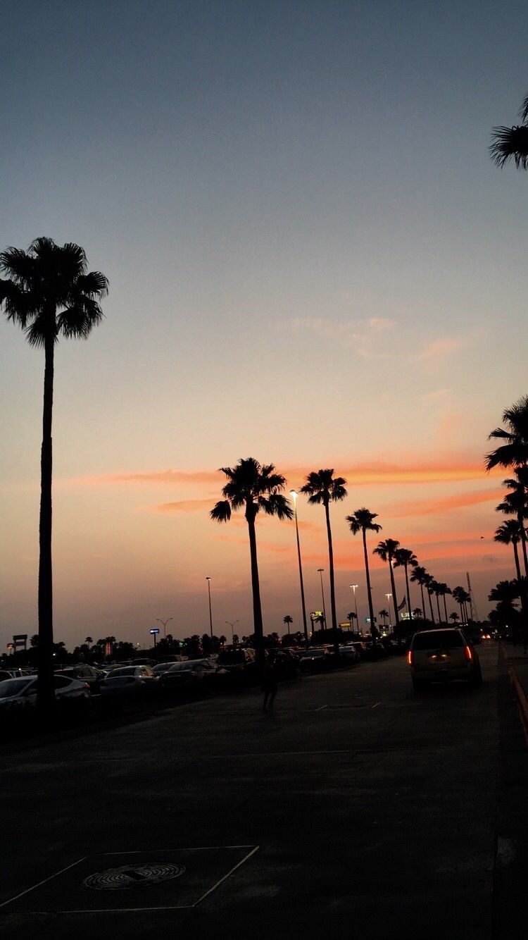 Cars parked in a parking lot with palm trees in the background during sunset. - California