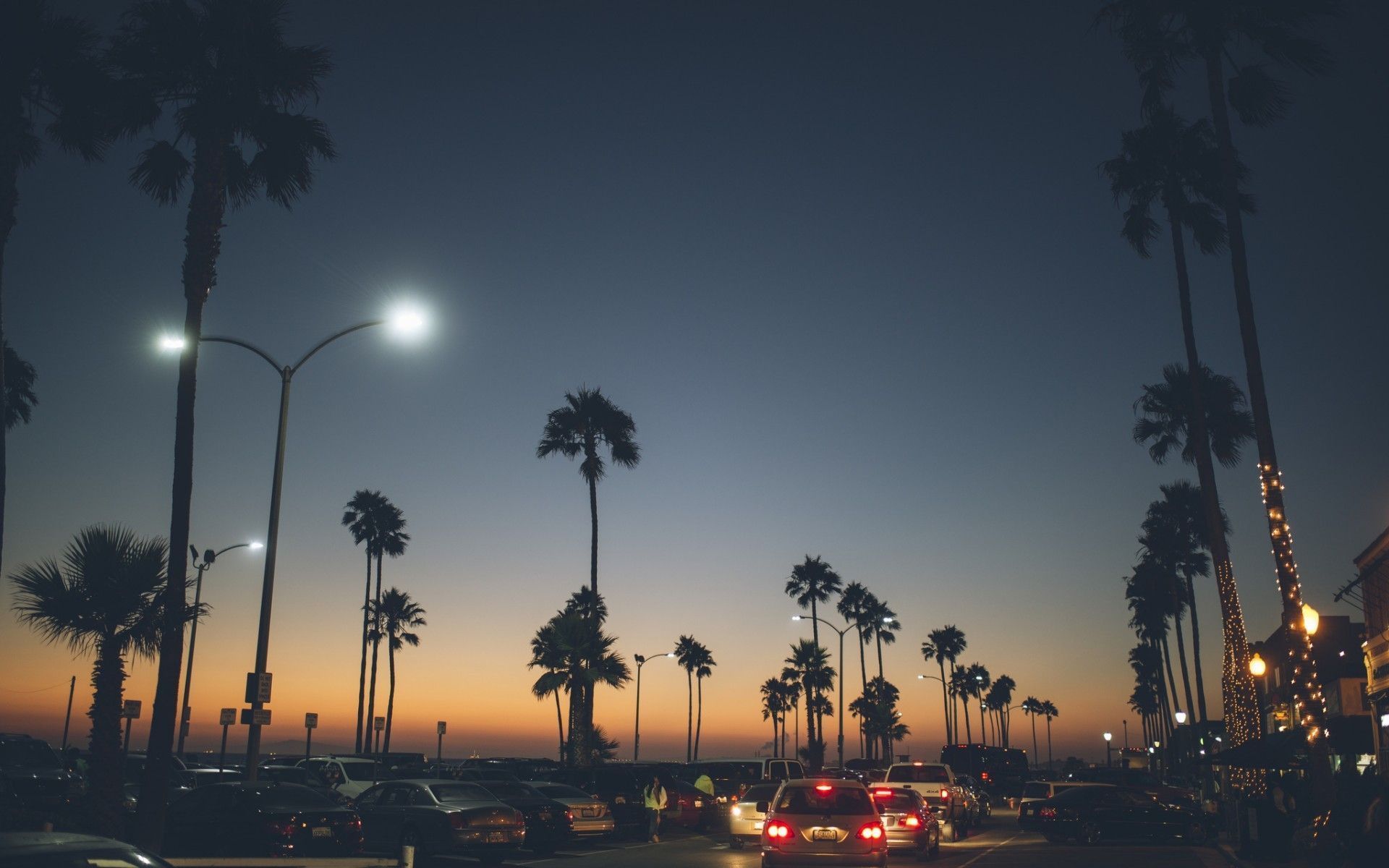 A street with palm trees and cars at night - California