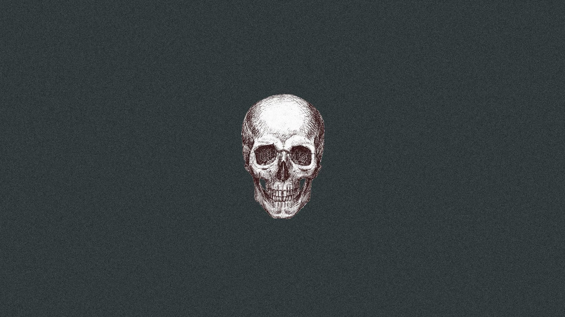 A skull on a black background - Skull