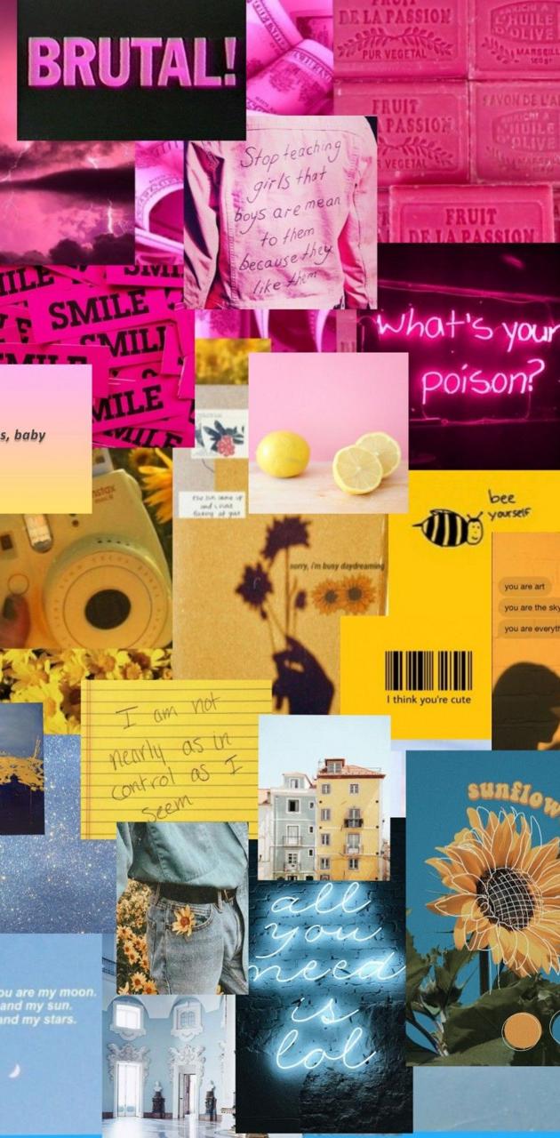 Aesthetic phone background collage of pink, yellow, and blue pictures - Pansexual