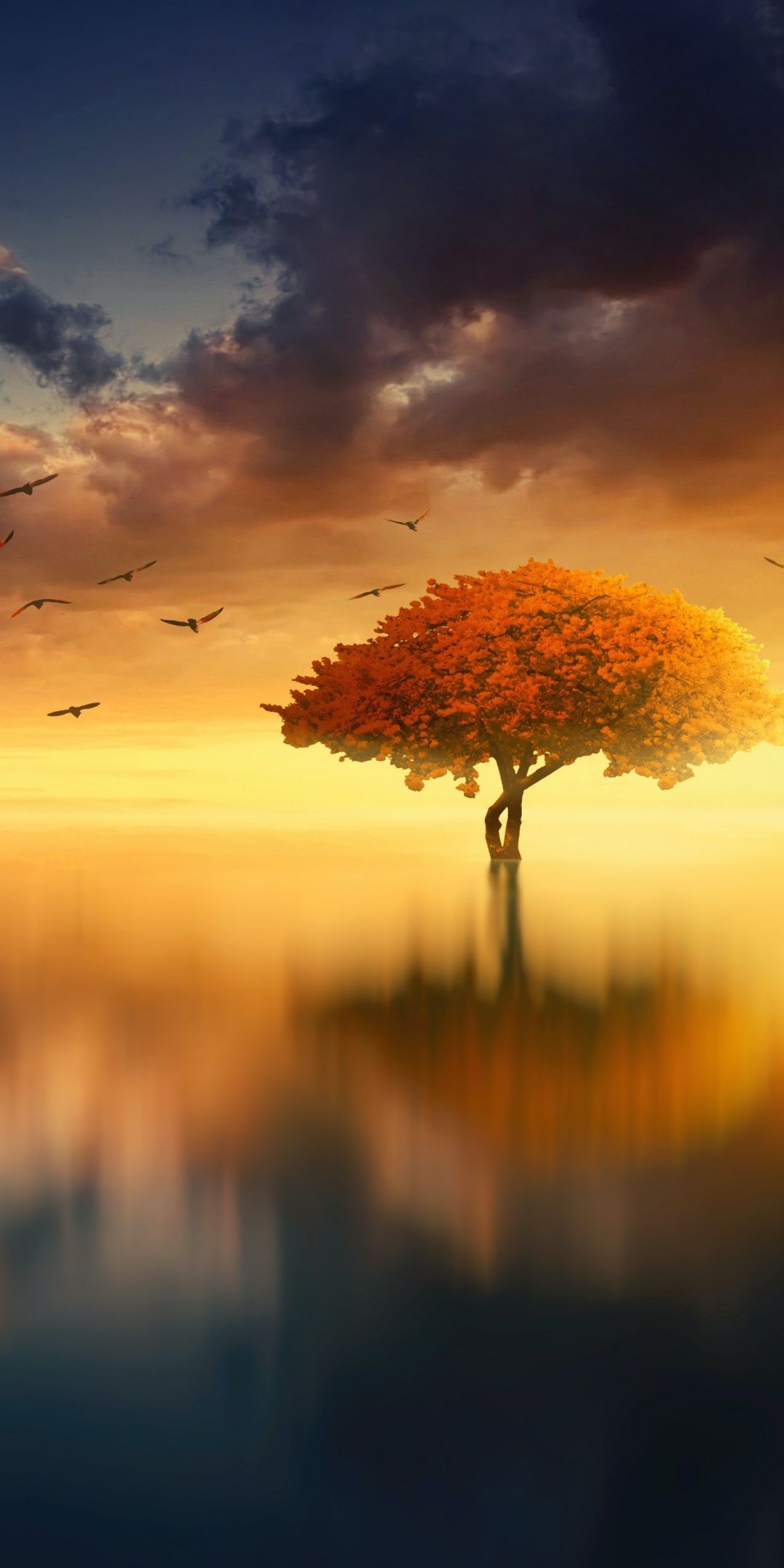 Tree Wallpaper 4K, Sunrise, Birds, Nature