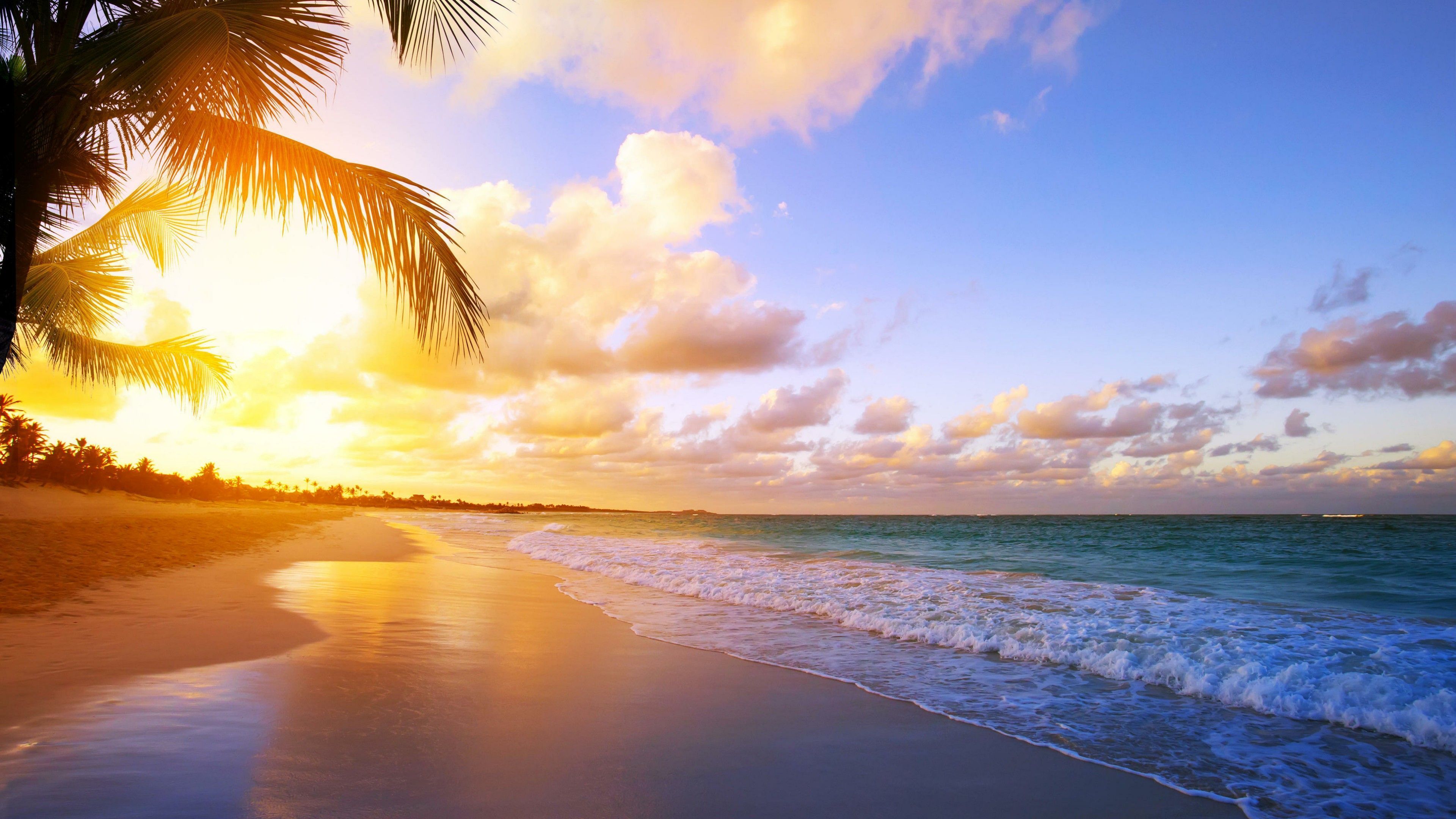 A beach with palm trees and the sun setting - Sunrise