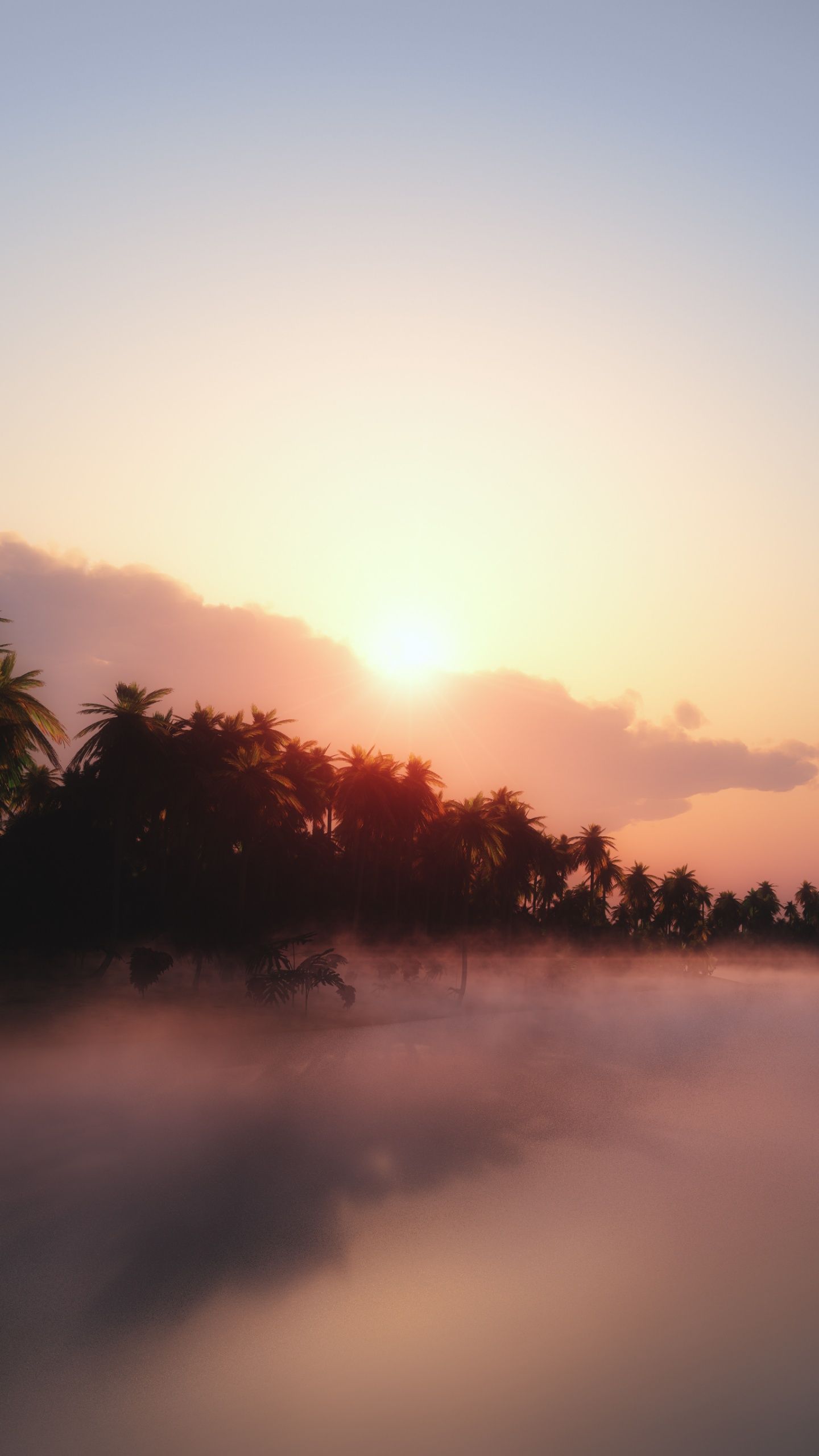 Sunrise Wallpaper 4K, Palm trees, Mist, Foggy, Nature