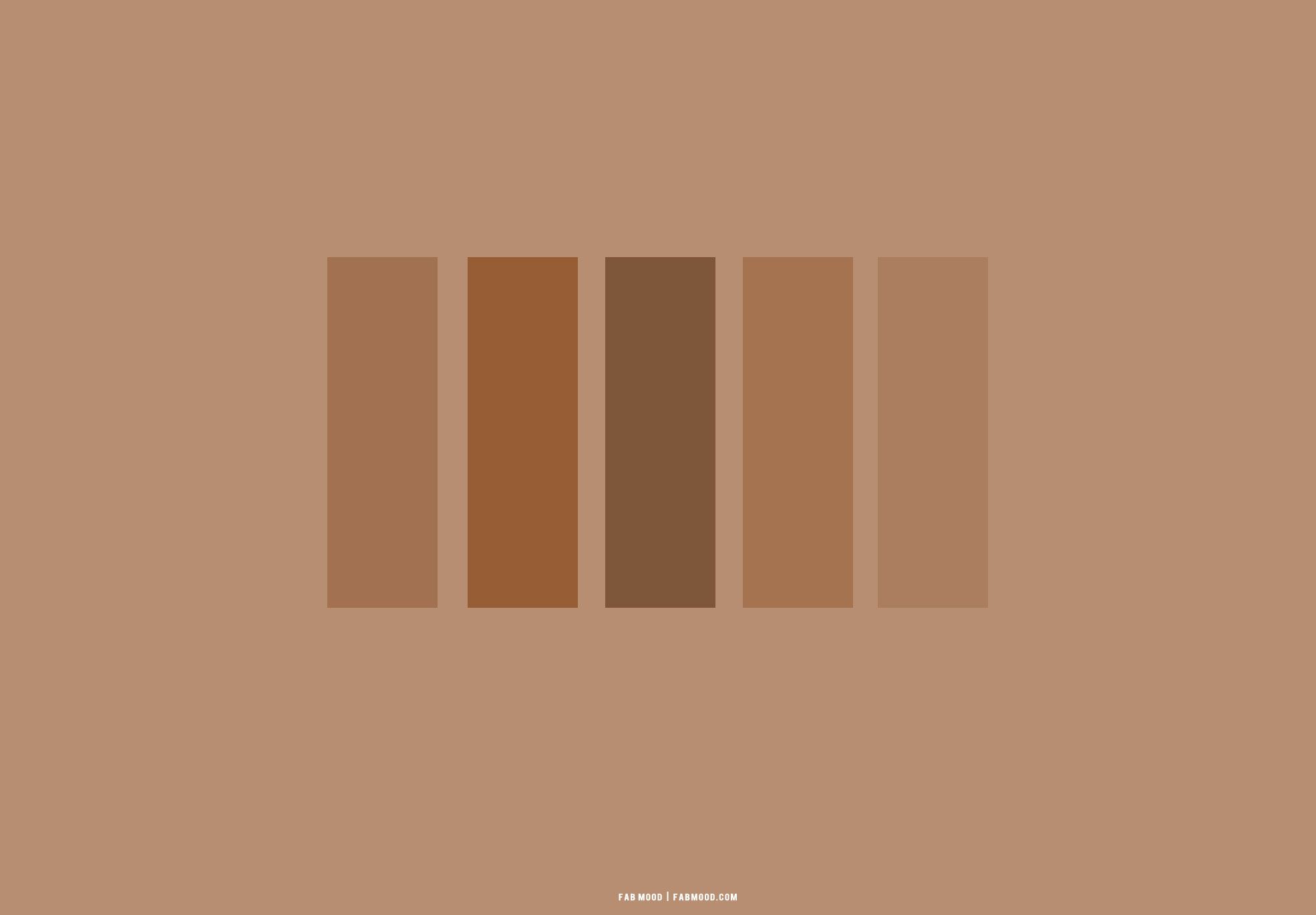 The color palette of a brown background - Brown, light brown