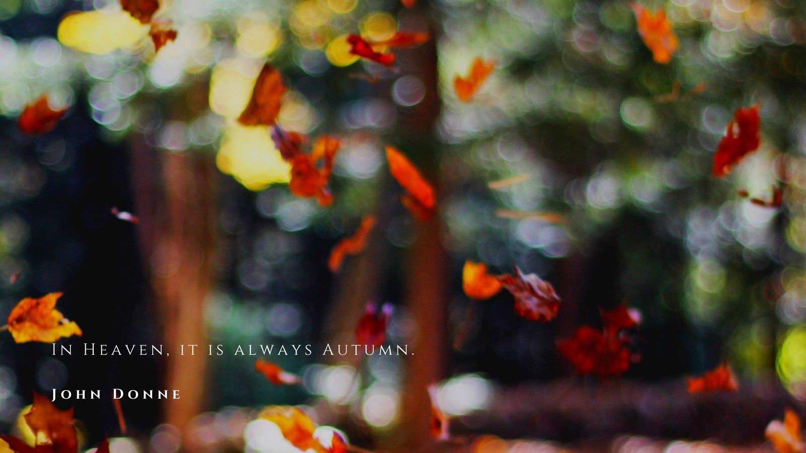 In Heaven, it is always Autumn. John Donne - Fall