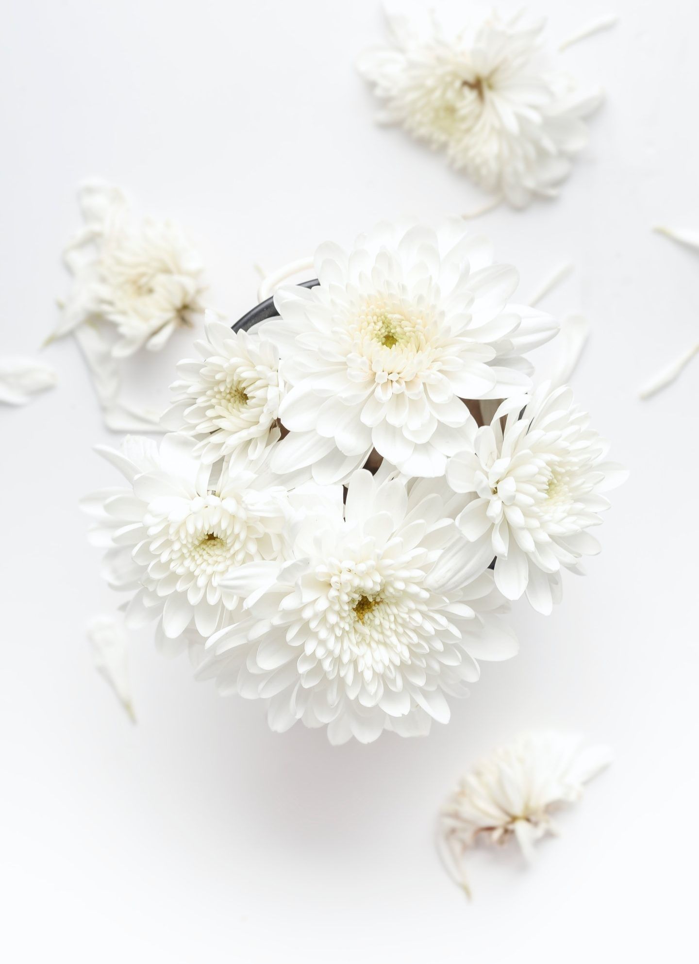 A vase of white flowers on top - White