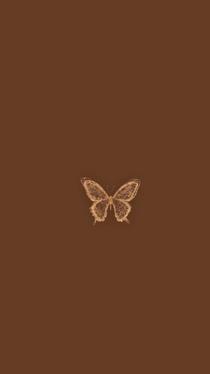 A brown butterfly on a brown background - Brown