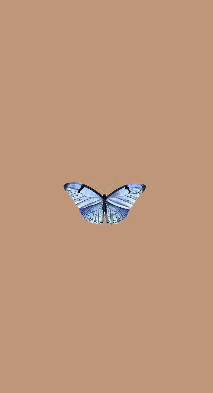Butterfly on a brown background, phone wallpaper, aesthetic background - Brown