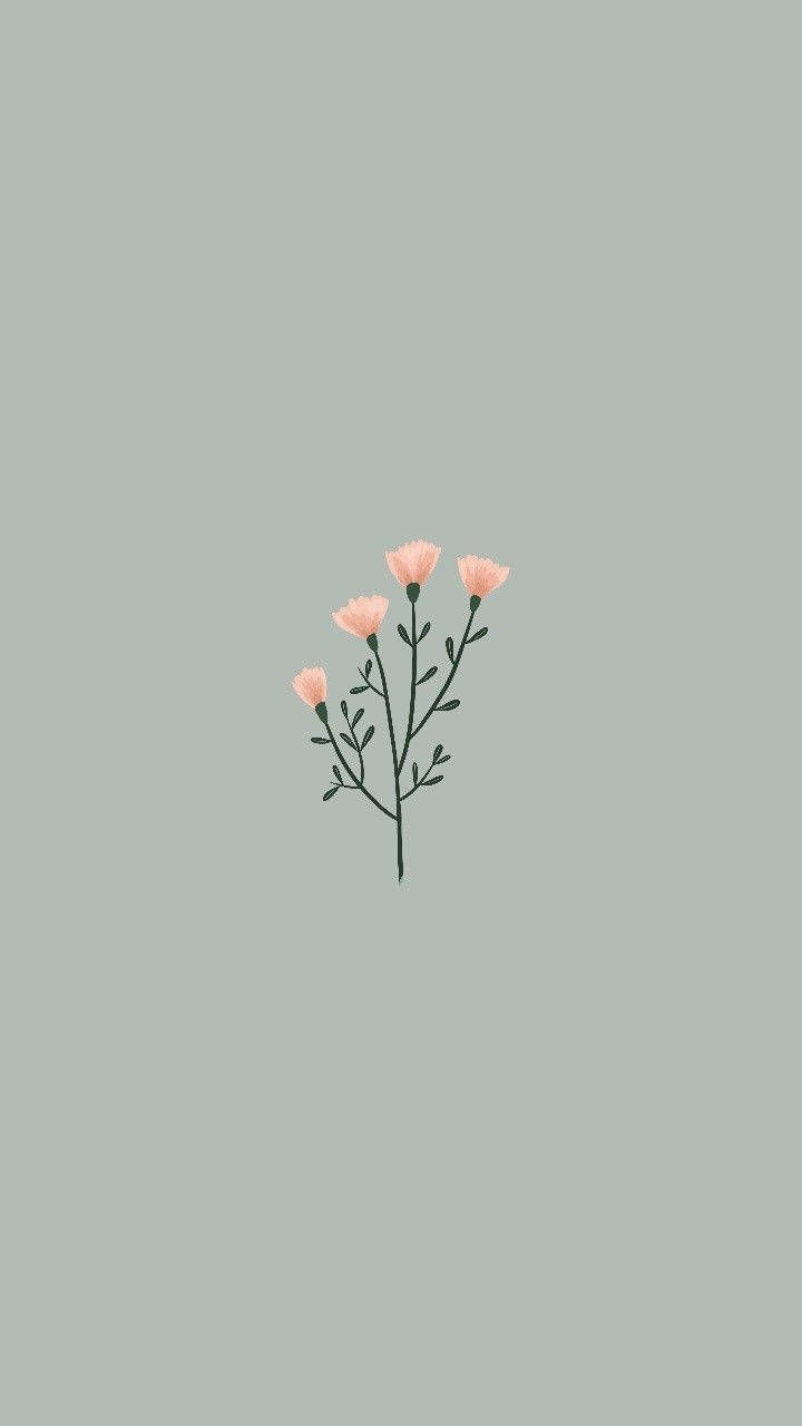 A minimalist floral illustration on a light green background - Spring
