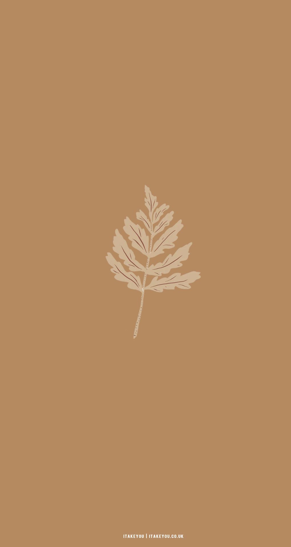 A leaf on brown background - Cute, brown, ghost, phone, cute iPhone, beige, wedding, minimalist beige