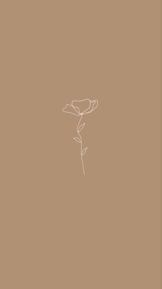 A single flower on brown background - Beige