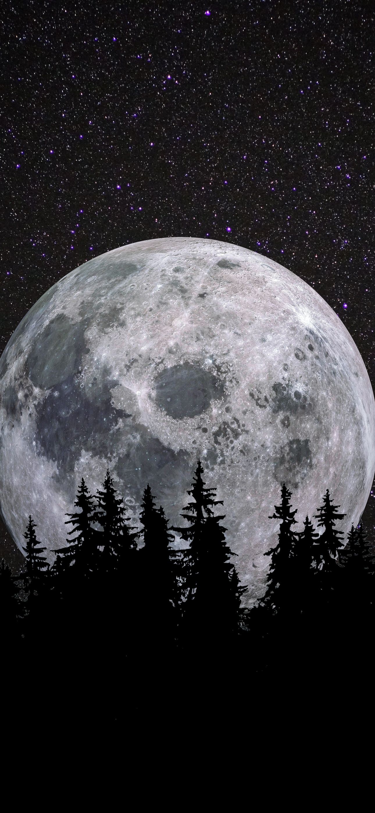 Full moon Wallpaper 4K, Forest, Night, Dark, Nature