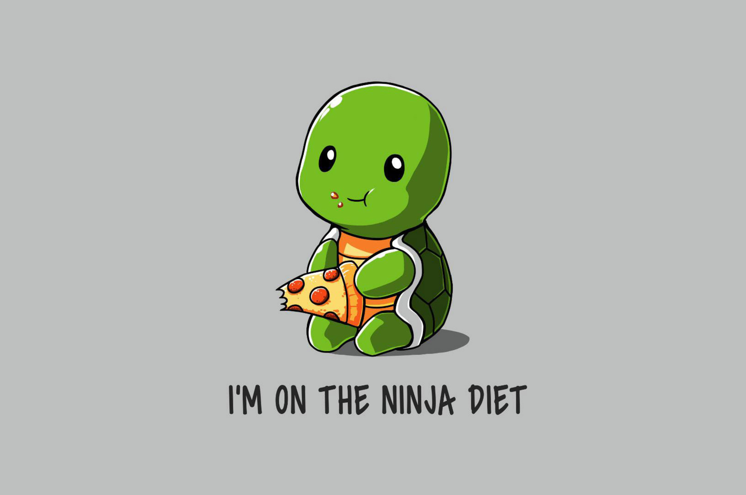 Funny Ninja On Diet Chromebook Pixel HD 4k Wallpaper, Image, Background, Photo and Picture