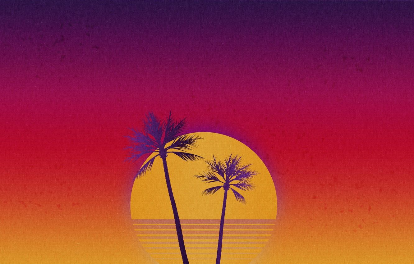 Palm trees in front of a sunset - Sun