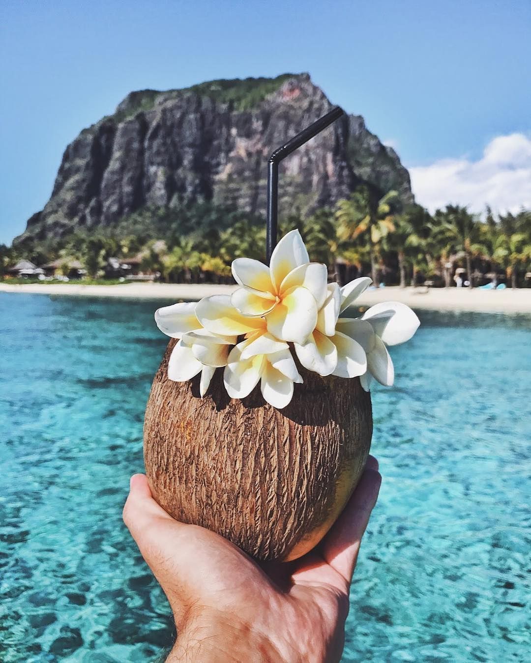 A person holding an coconut with flowers in it - Hawaii