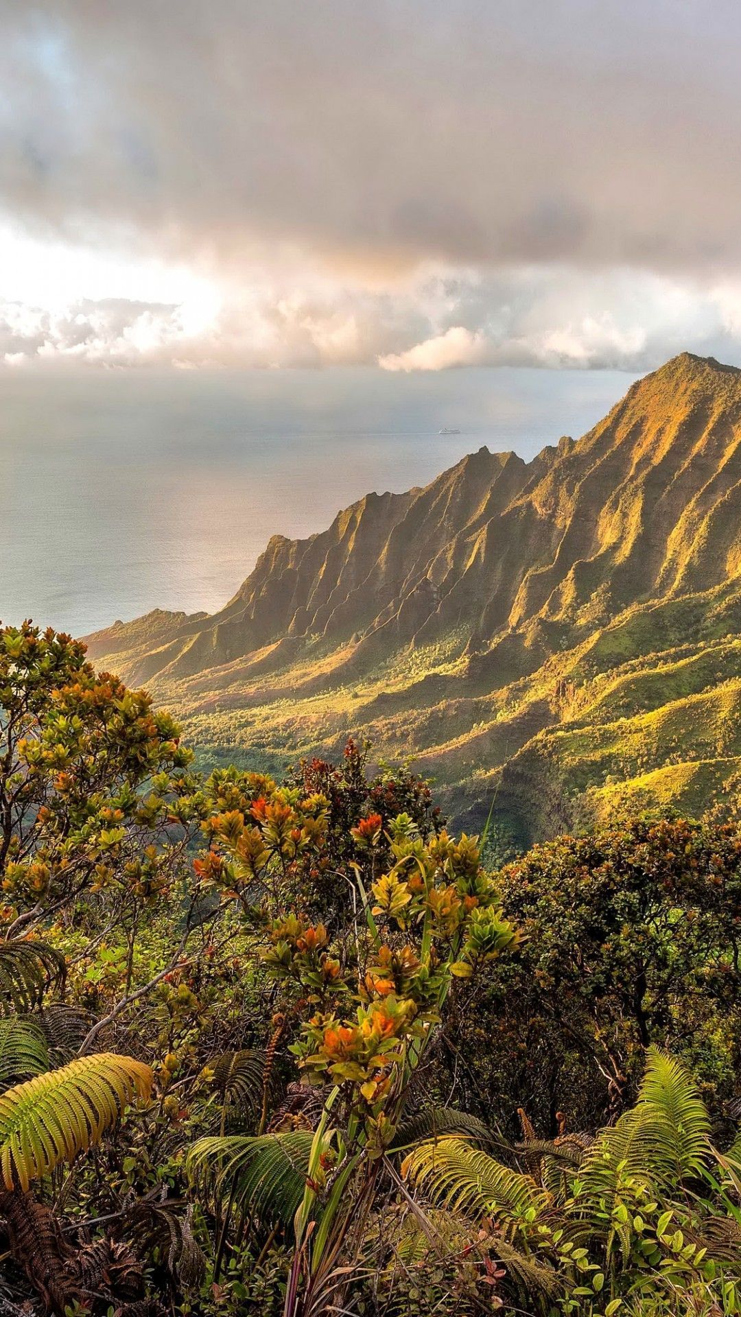 A view of the mountains and ocean - Hawaii