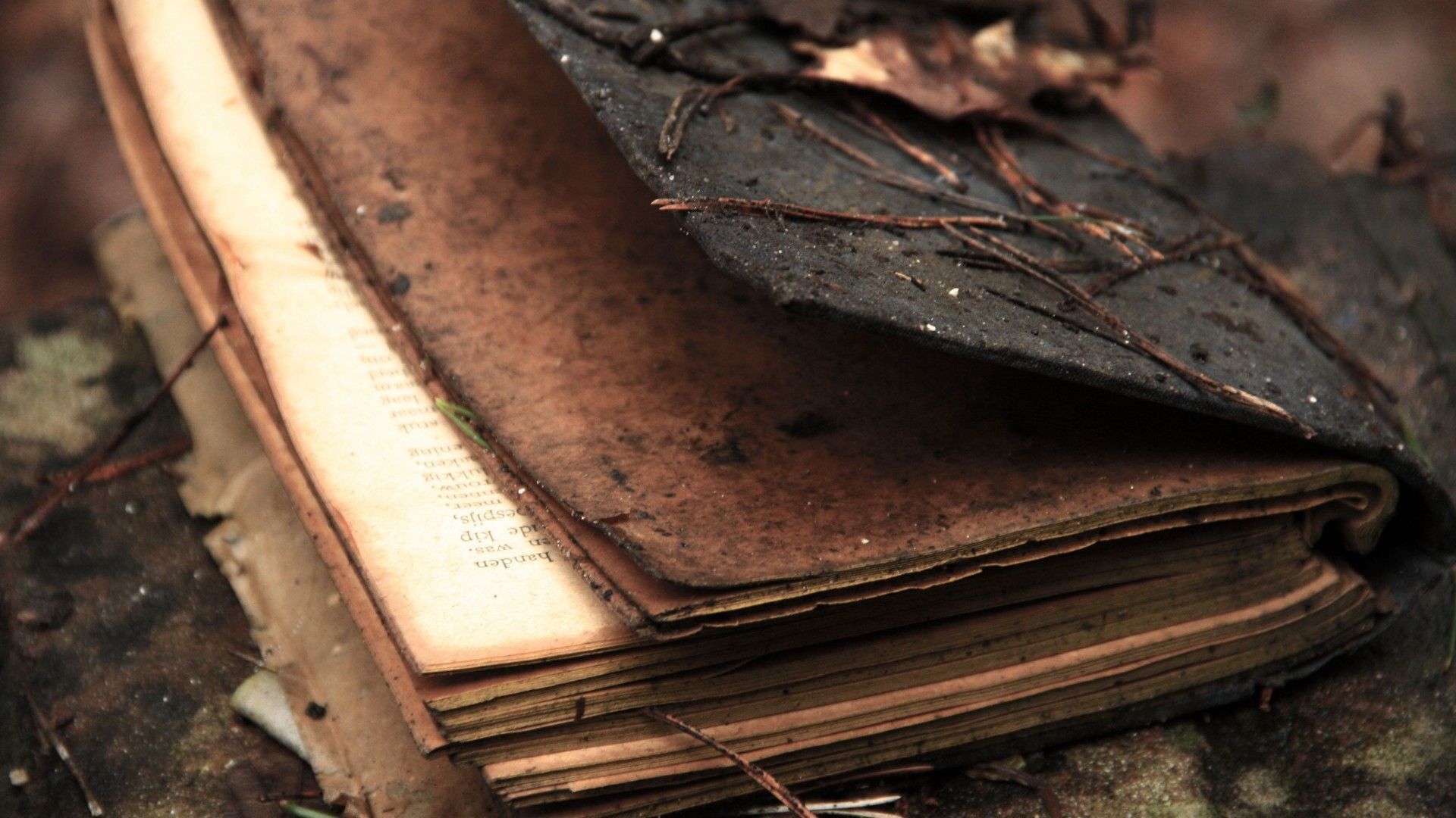 A book lies on the ground, its pages yellowed and frayed. - Brown, books