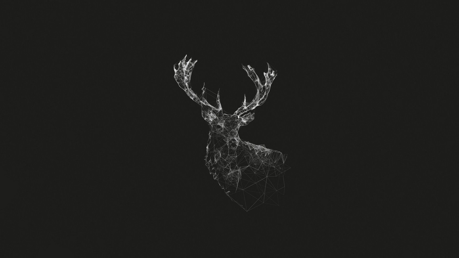 A digital image of a deer head made up of lines and dots - Deer