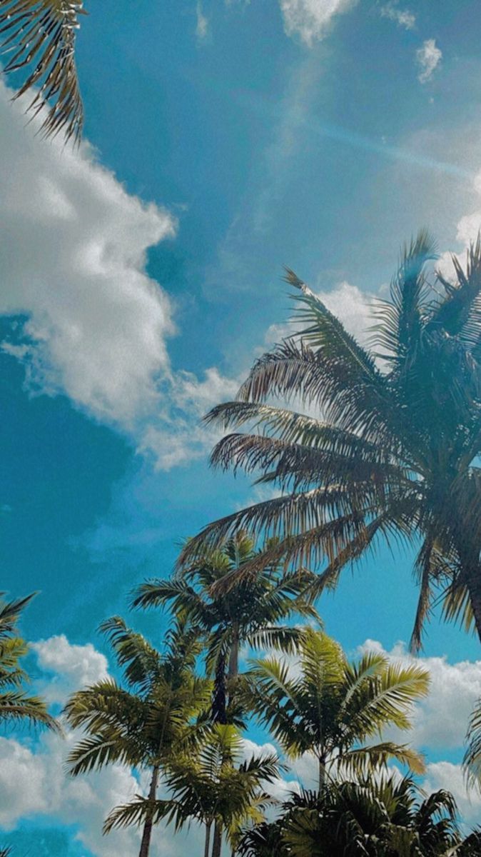 Wallpaper. Sky aesthetic, Tropical asthetic wallpaper, Nature photography
