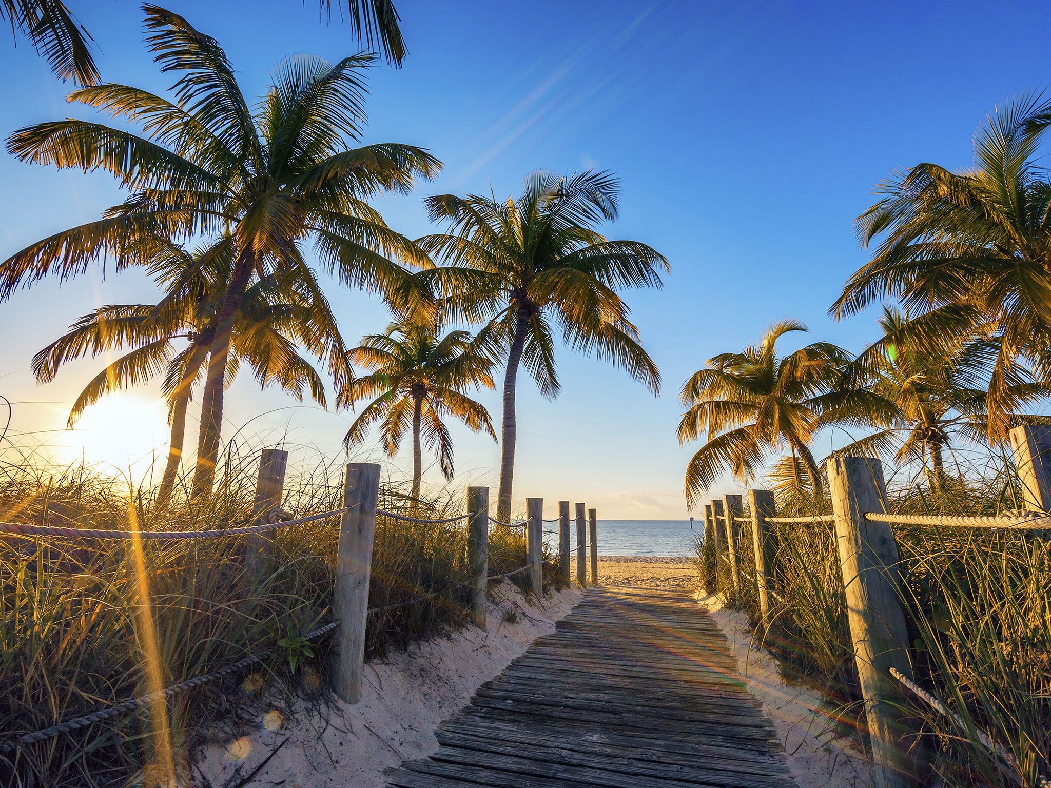 A wooden walkway leads to the beach - Florida