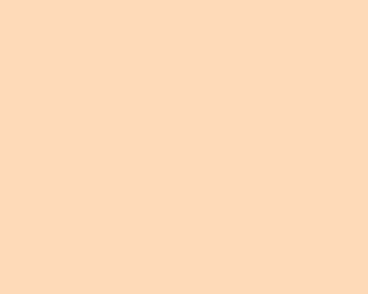 The color of a tan wall - Salmon