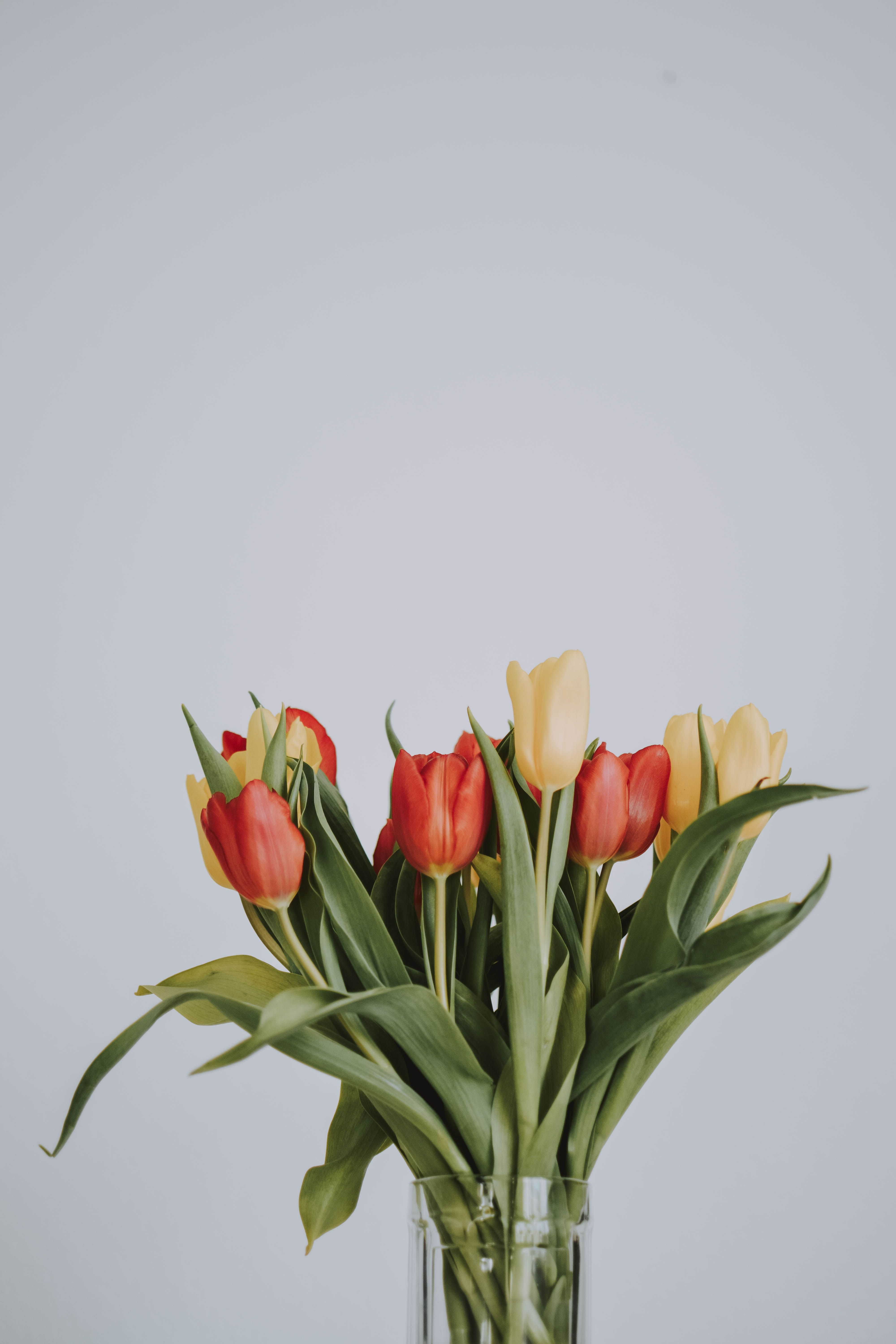 A vase of flowers sitting on top table - Tulip