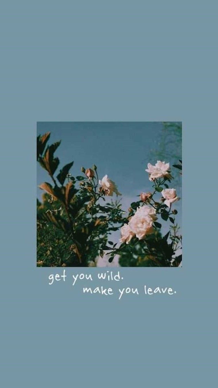 Get you wild make your leave - Calming