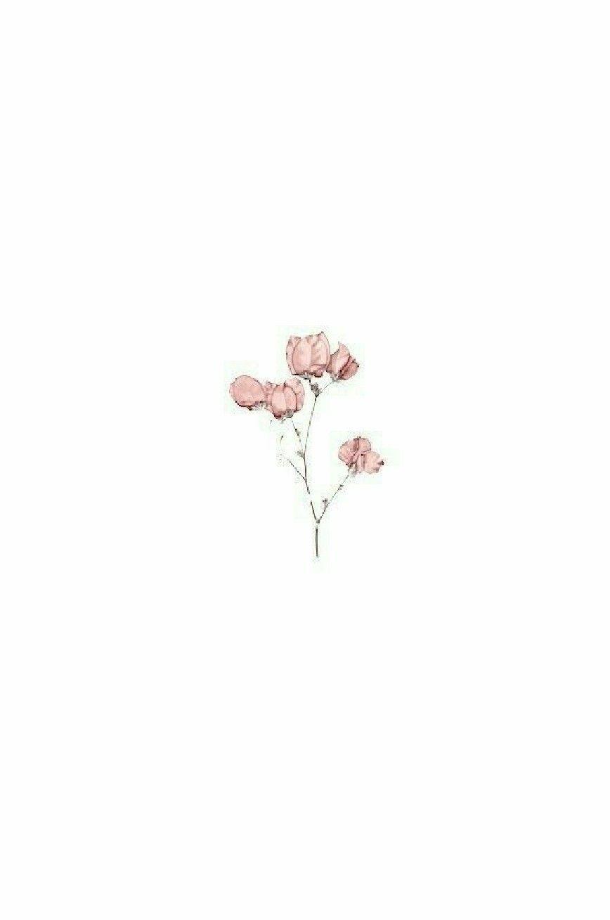 Aesthetic wallpaper for phone with a pink flower - Cute white