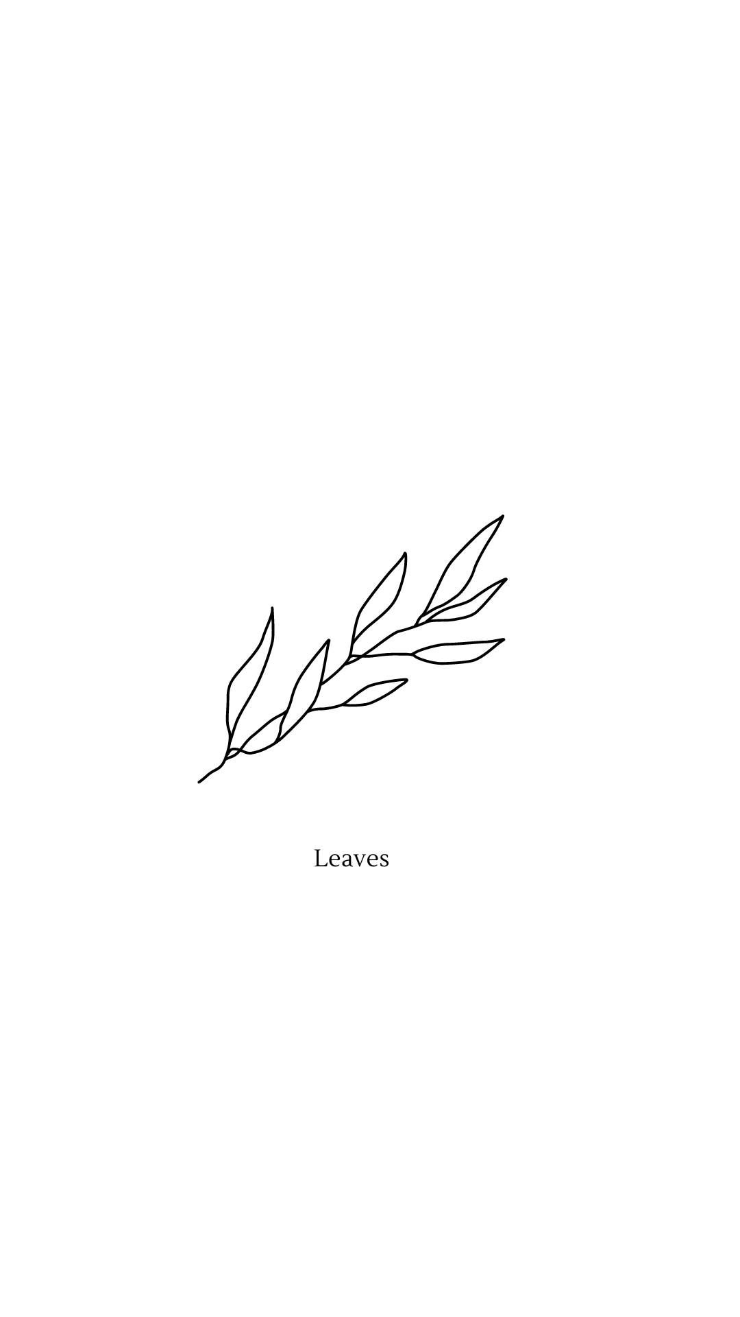 A minimalist leaf illustration on a white background - White, cute white
