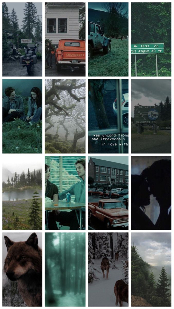 A collage of pictures with different scenes - Twilight
