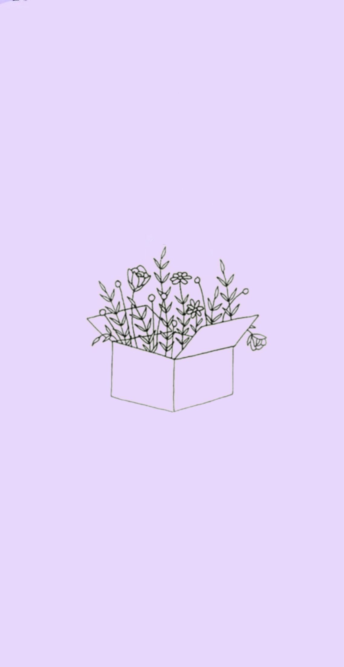 A box of flowers on purple background - Pastel purple