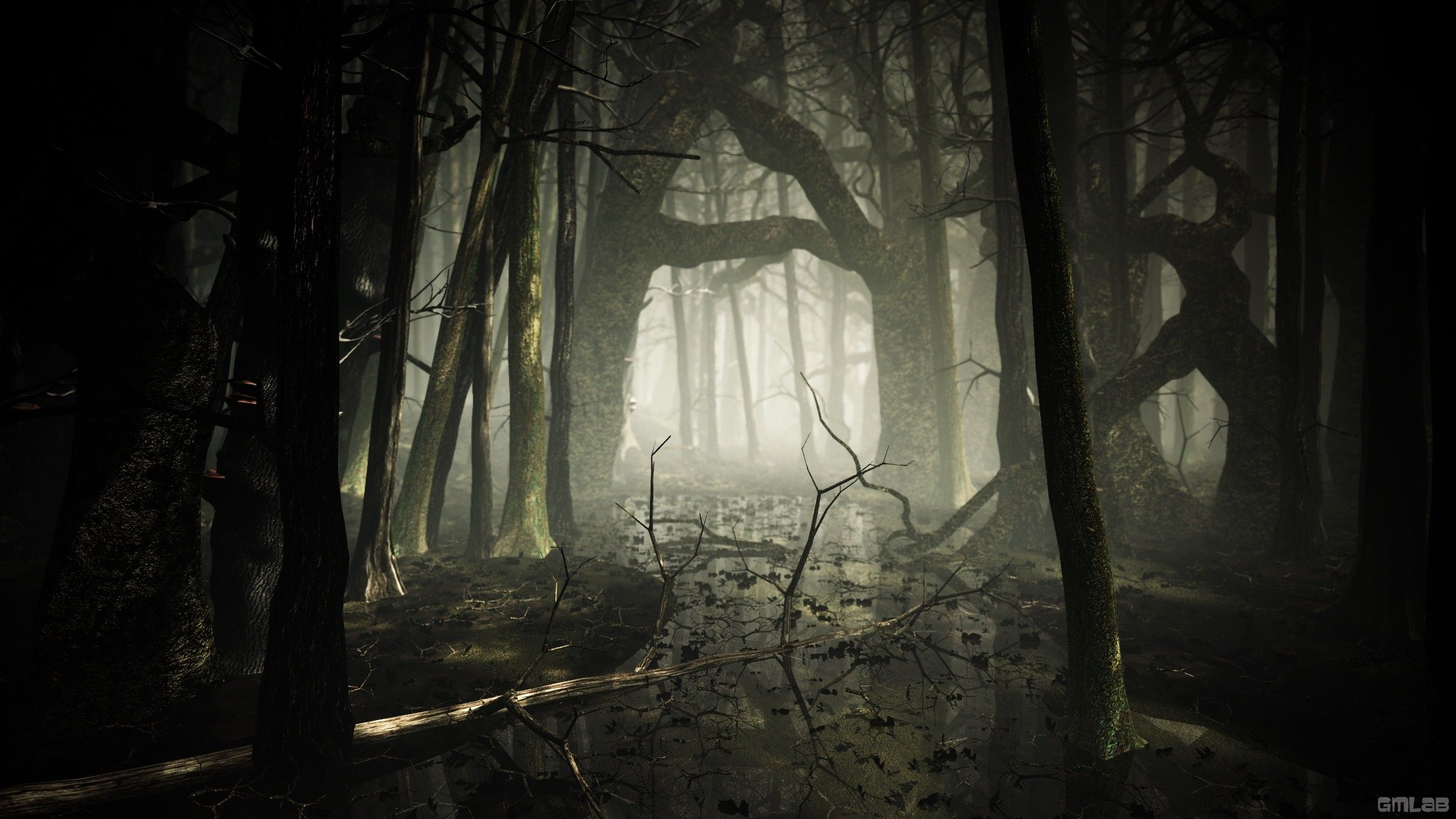 A dark forest with a path through it - Foggy forest