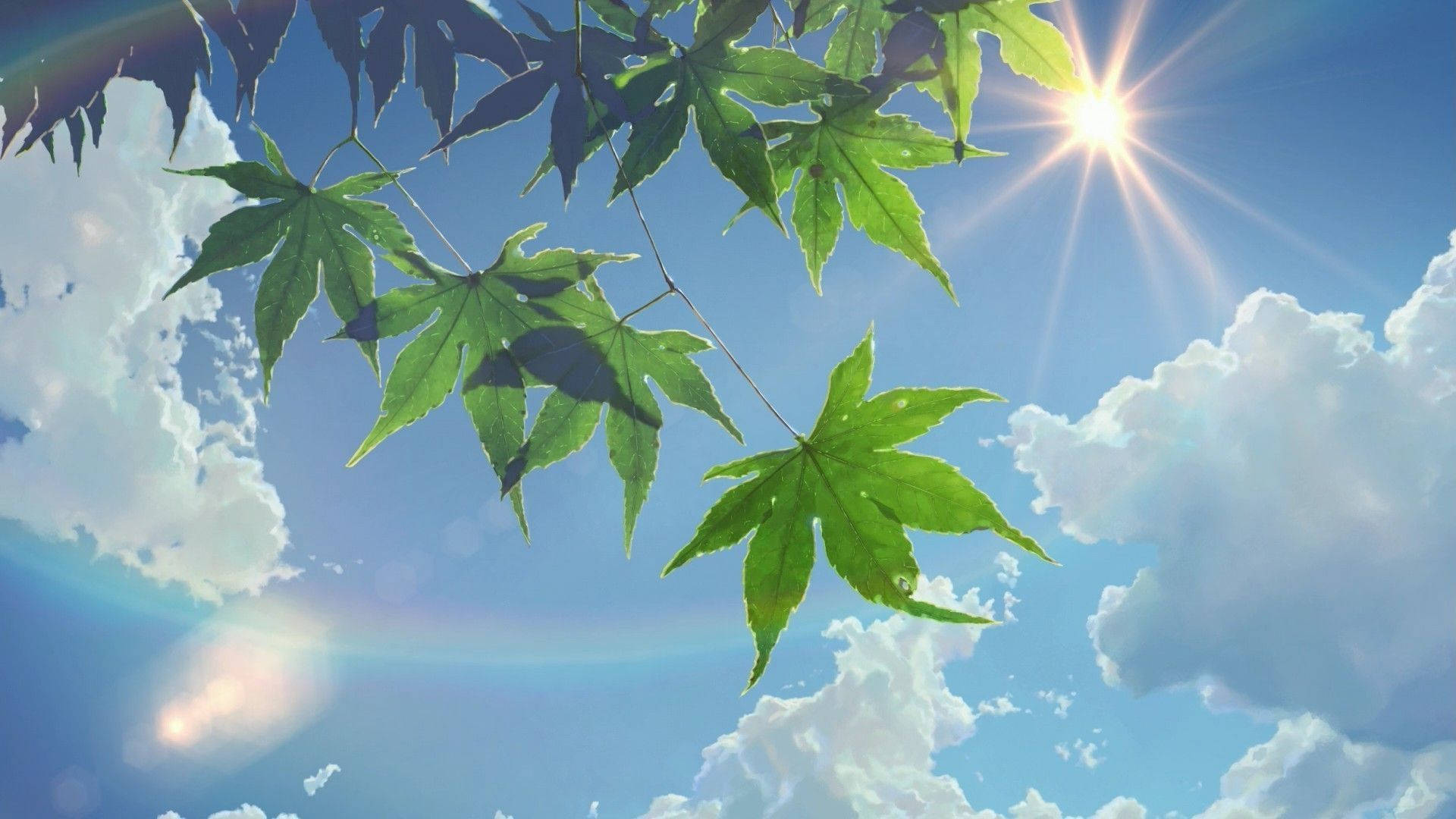 A branch of green leaves with the sun shining through them - Anime landscape, garden, nature