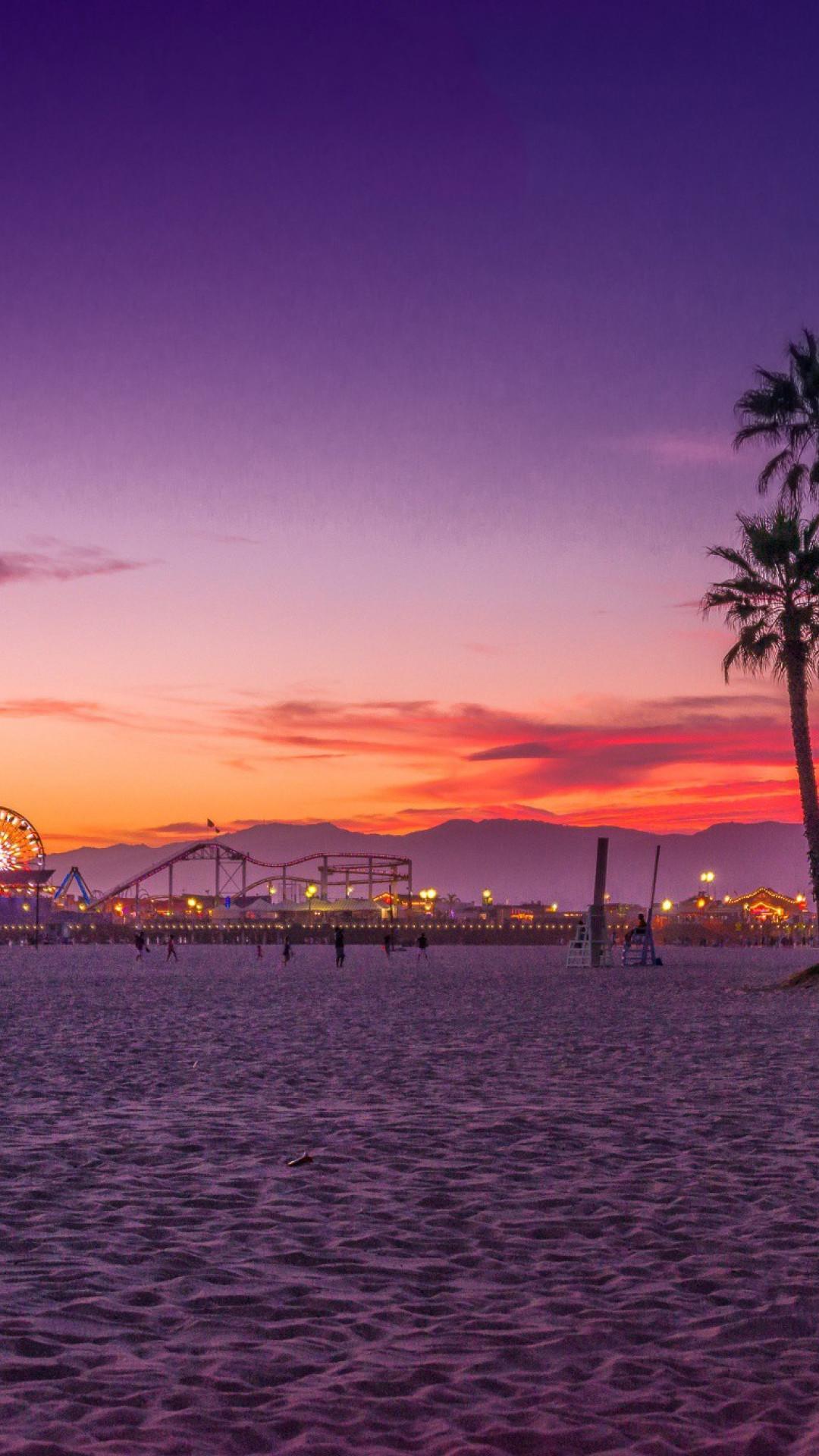 A beach with palm trees and the sun setting - California