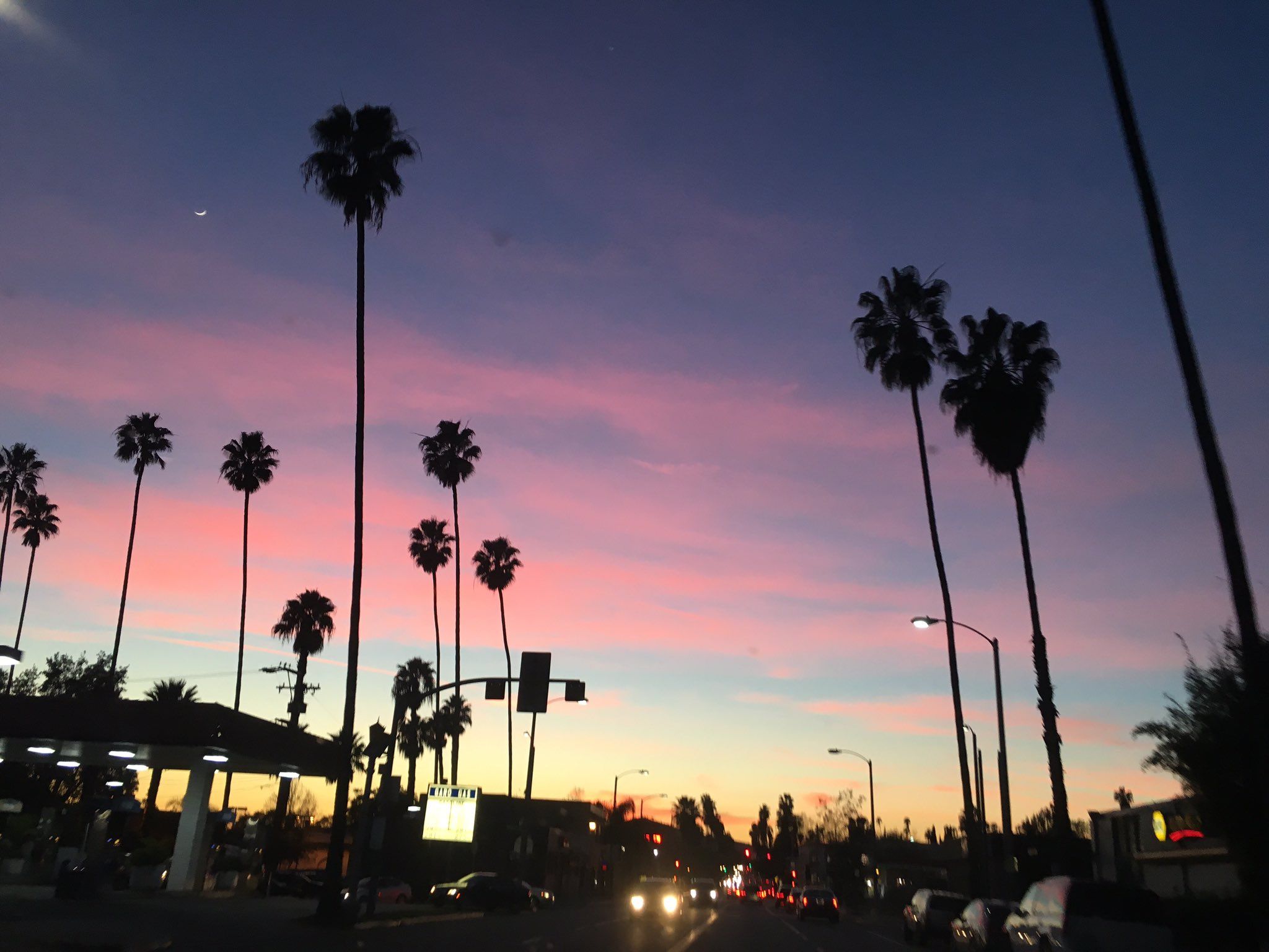 A street with traffic and palm trees - California