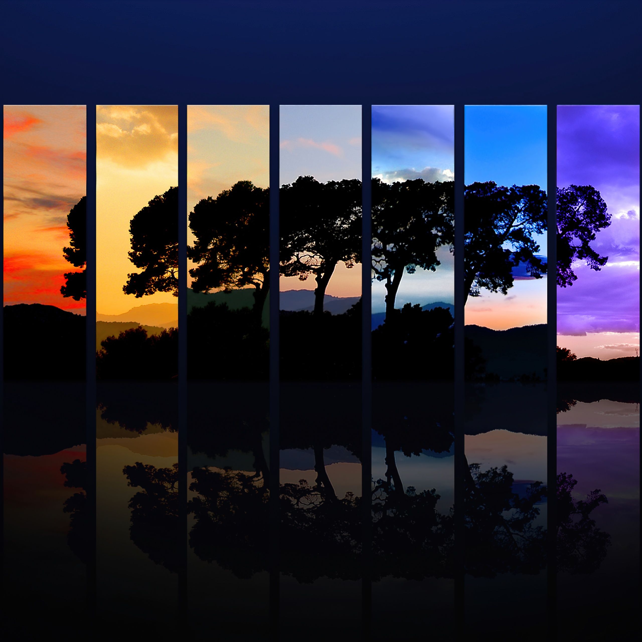 The image is a collage of a tree in front of a lake at different times of the day. - Sunrise