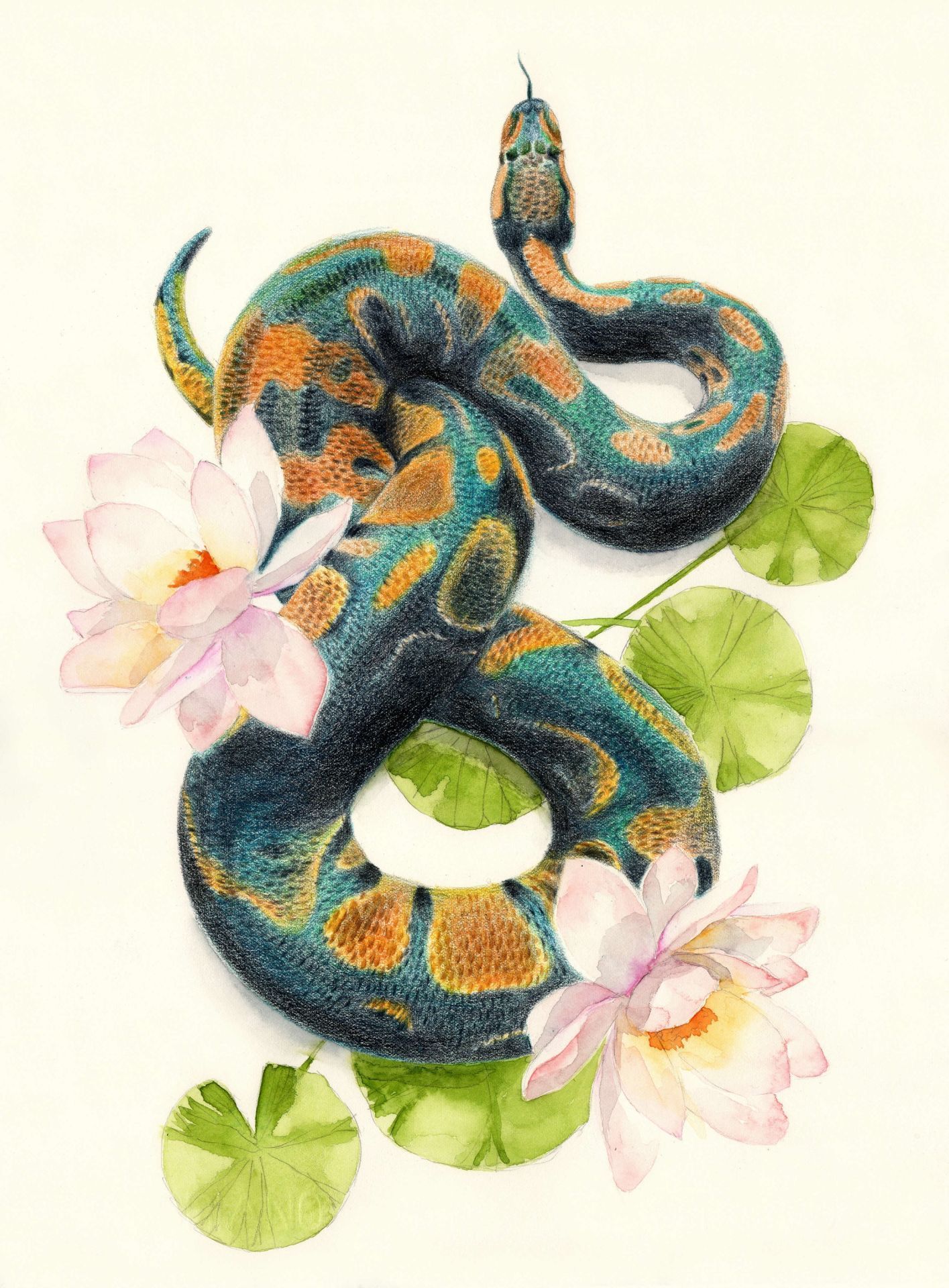 A snake is sitting on top of some water lilies - Snake