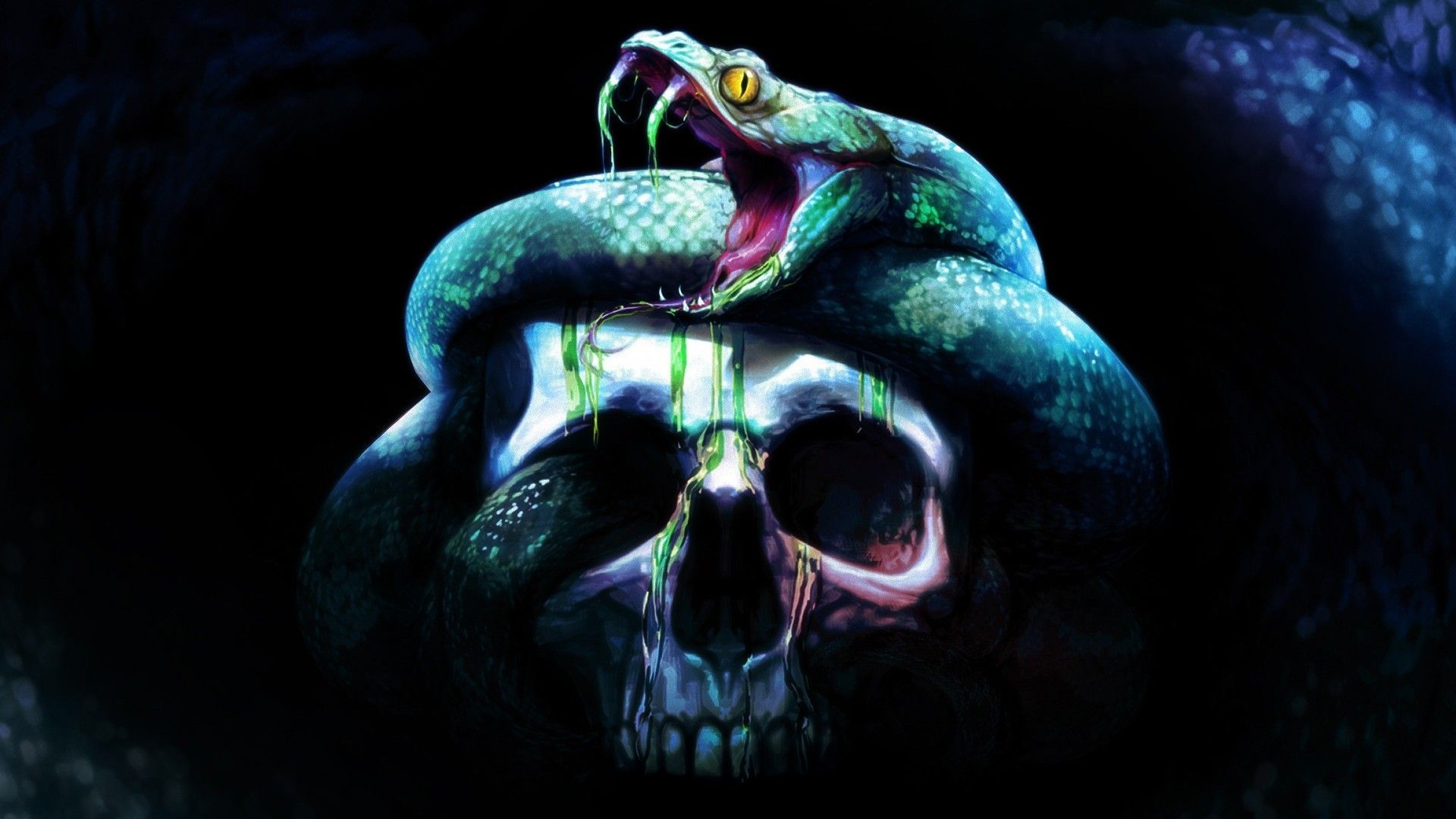 Snake In A Skull Background