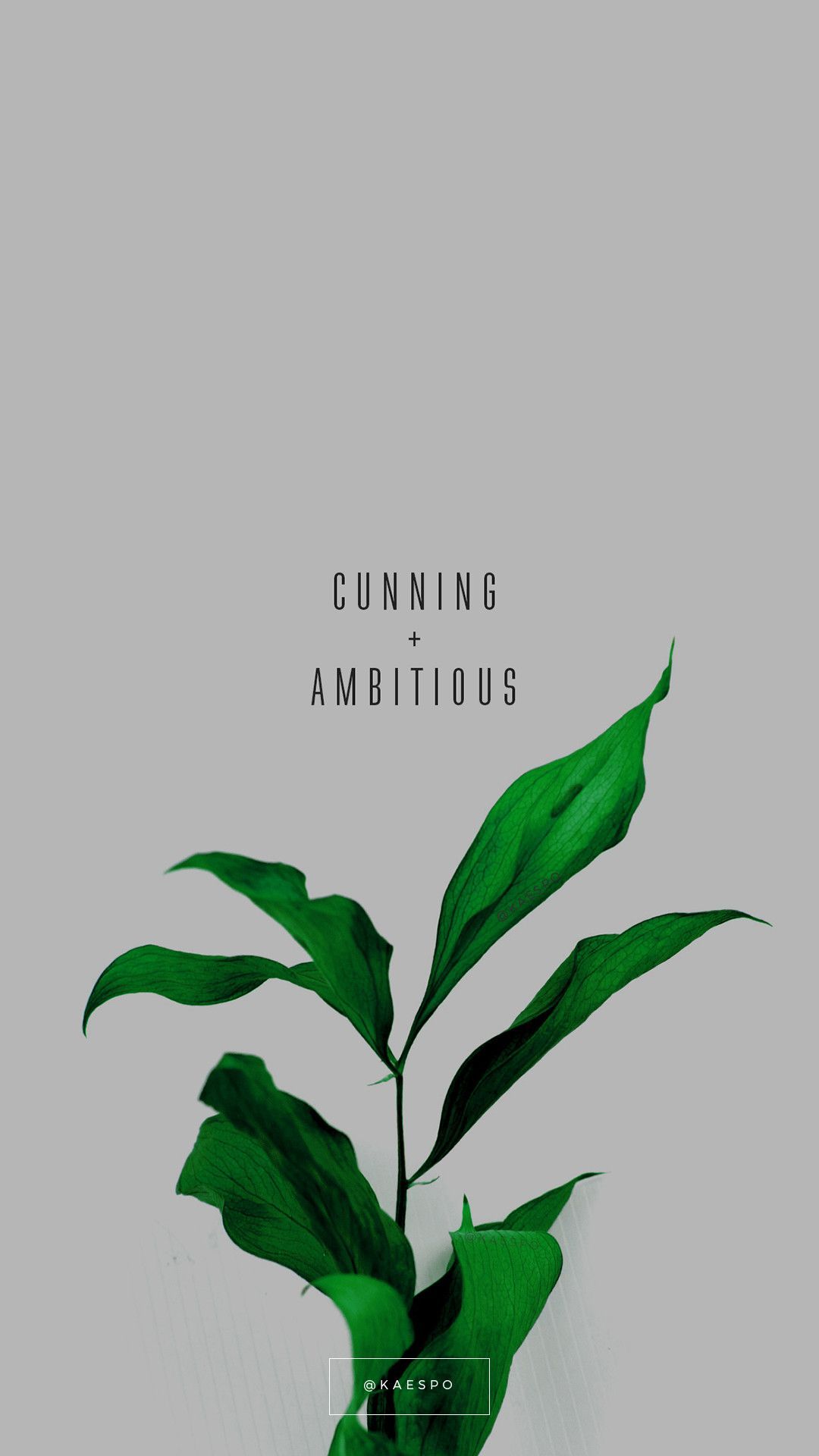 A book cover with the words counting ambitious - Plants, Slytherin