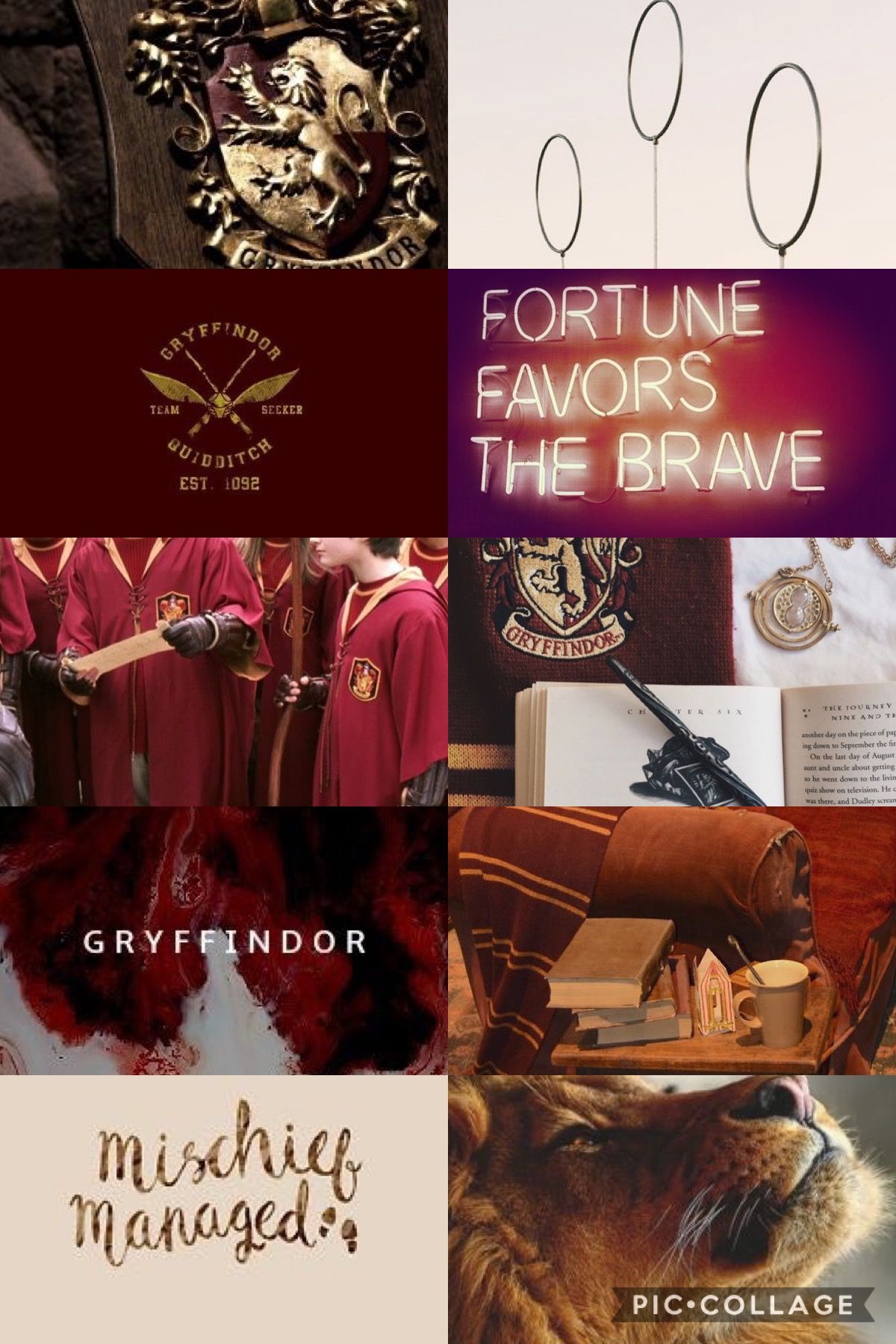 A collage of images related to Gryffindor including the house's emblem, a lion, and the words 