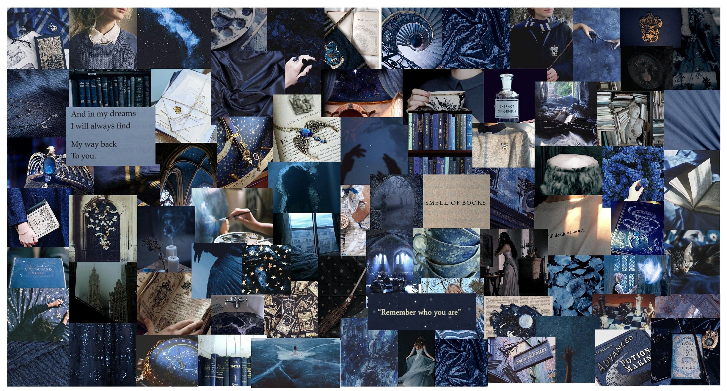 A collage of photos in shades of blue, with bookshelves, books, and a quote reading 